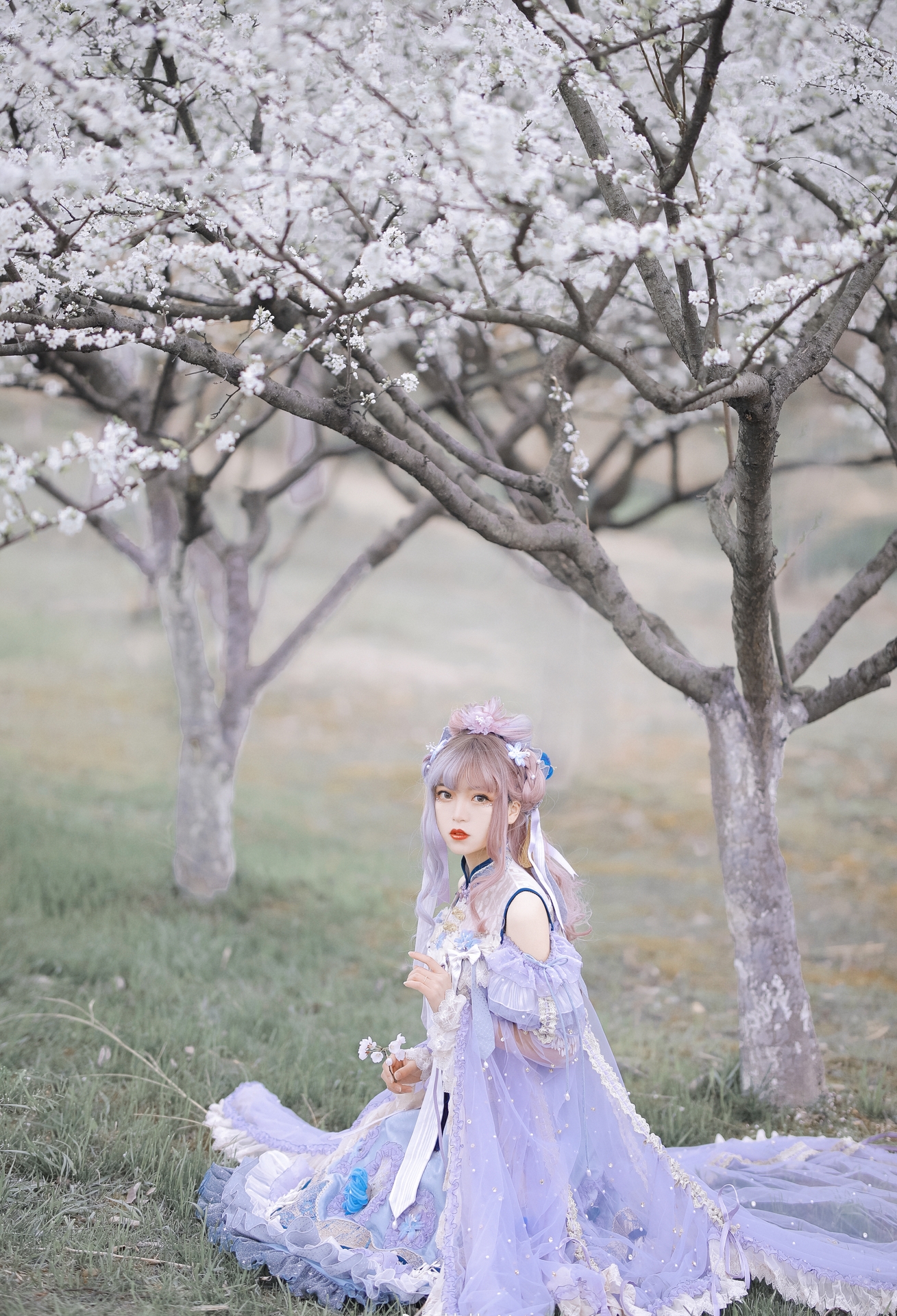 芍药_Y小姐姐繁花盛开时 便将相遇系列写真 粉色系长发紫白相间洛丽塔lolita樱花美少女