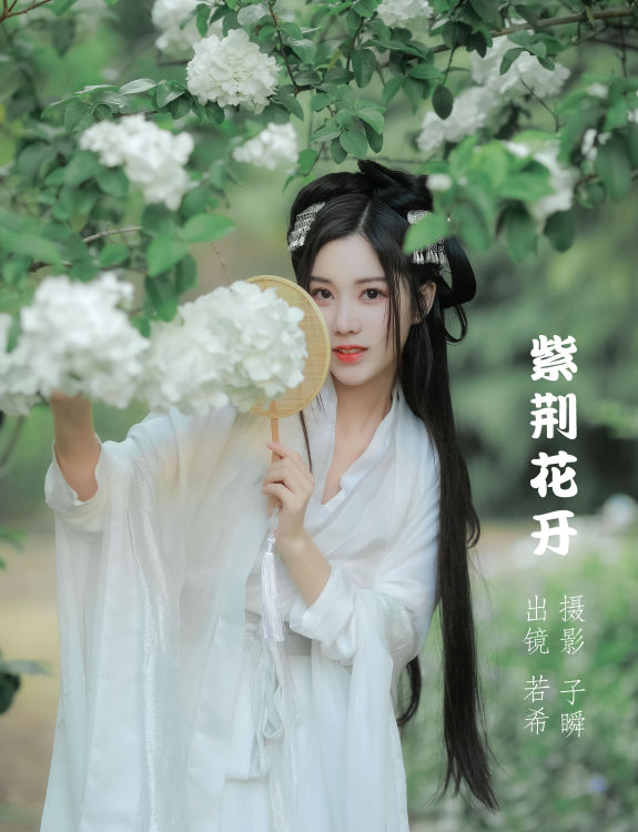 [YiTuYu艺图语] 若希icy《紫荆花开》 好看的4K高清无水印纯欲妹子意境唯美写真完整版图集