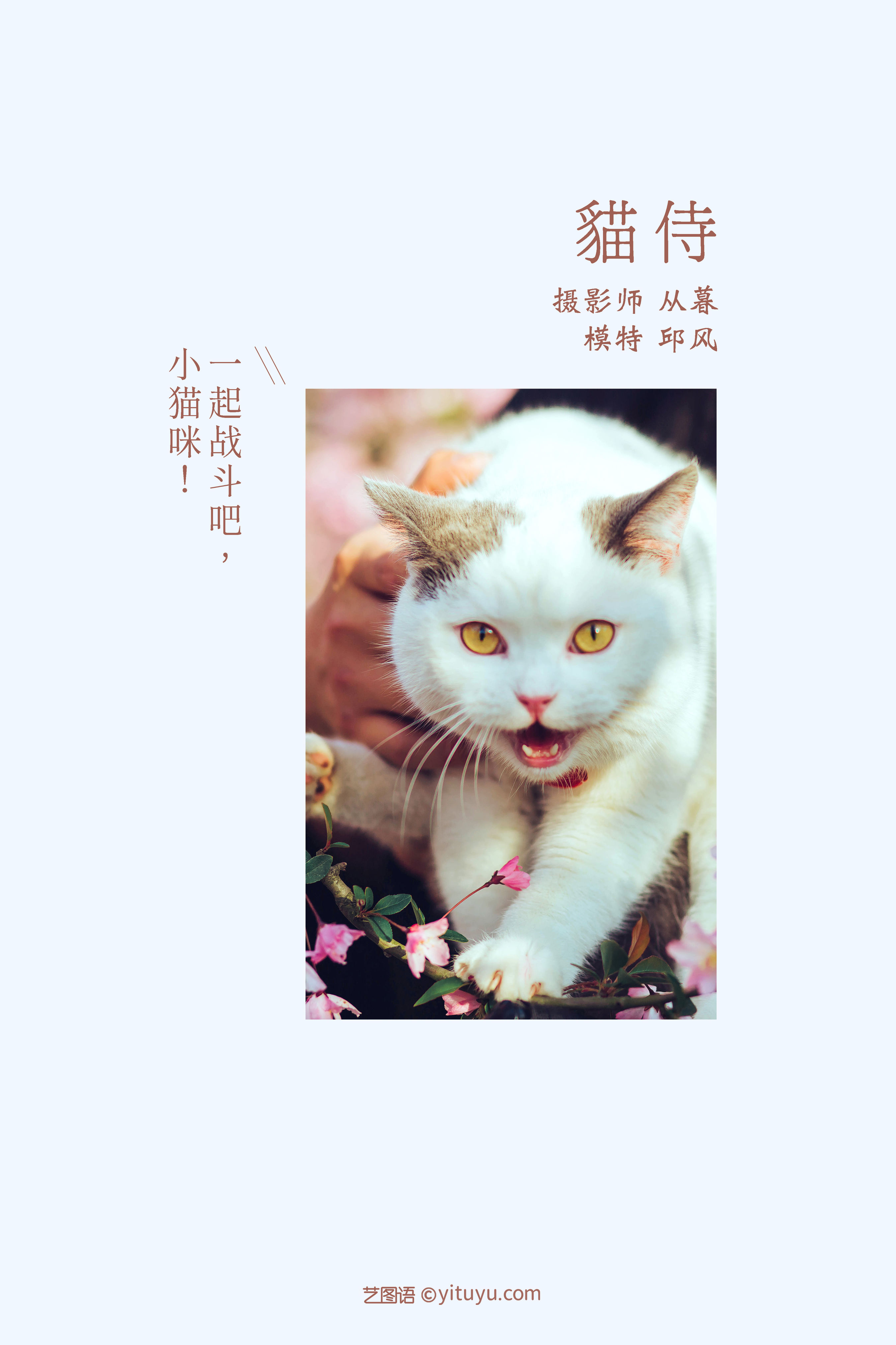 [YiTuYu艺图语] 邱风《猫侍》 好看的4K高清无水印纯欲妹子意境唯美写真完整版图集