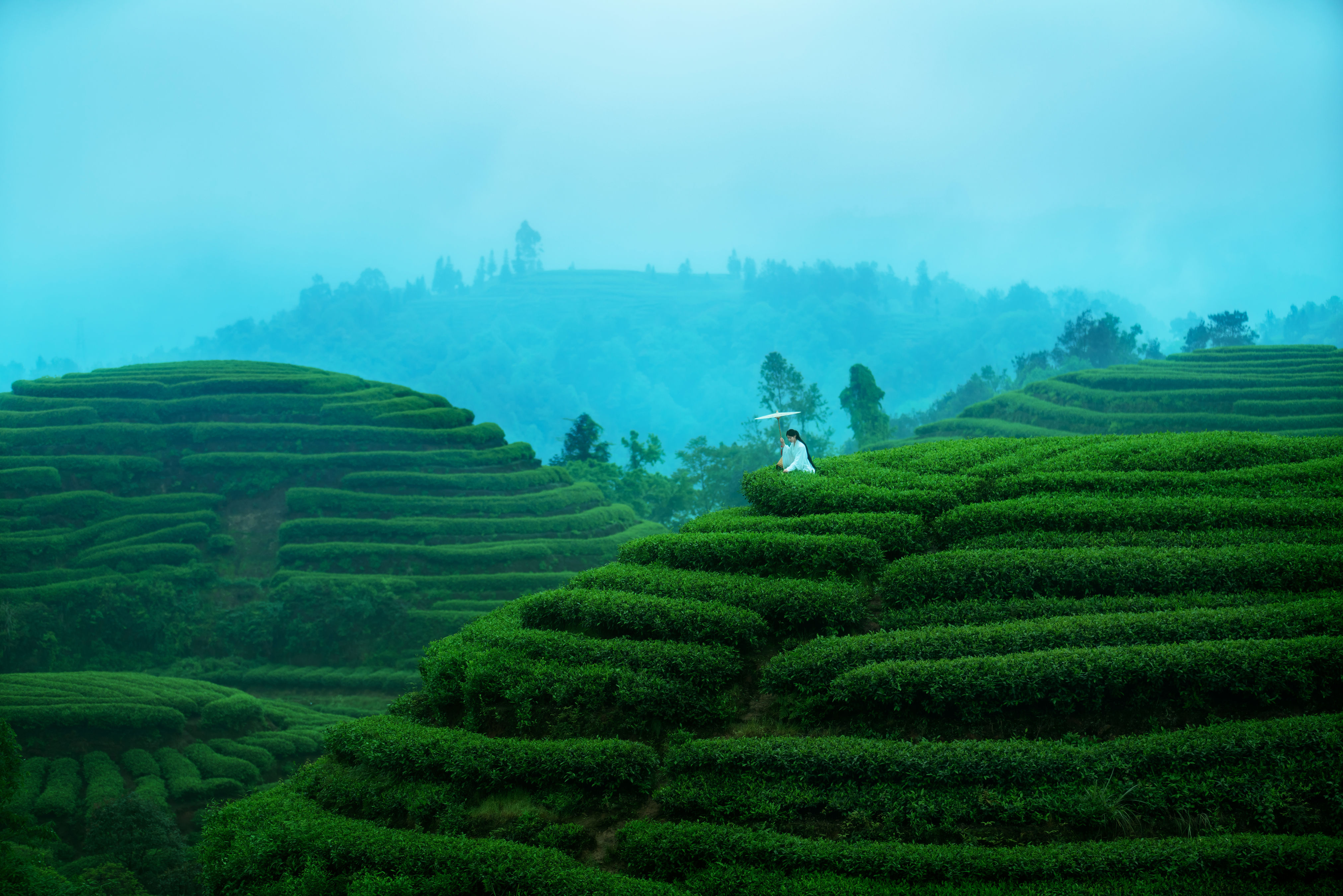 [YiTuYu艺图语] 初茶《空山灵雨》 好看的4K高清无水印纯欲妹子意境唯美写真完整版图集