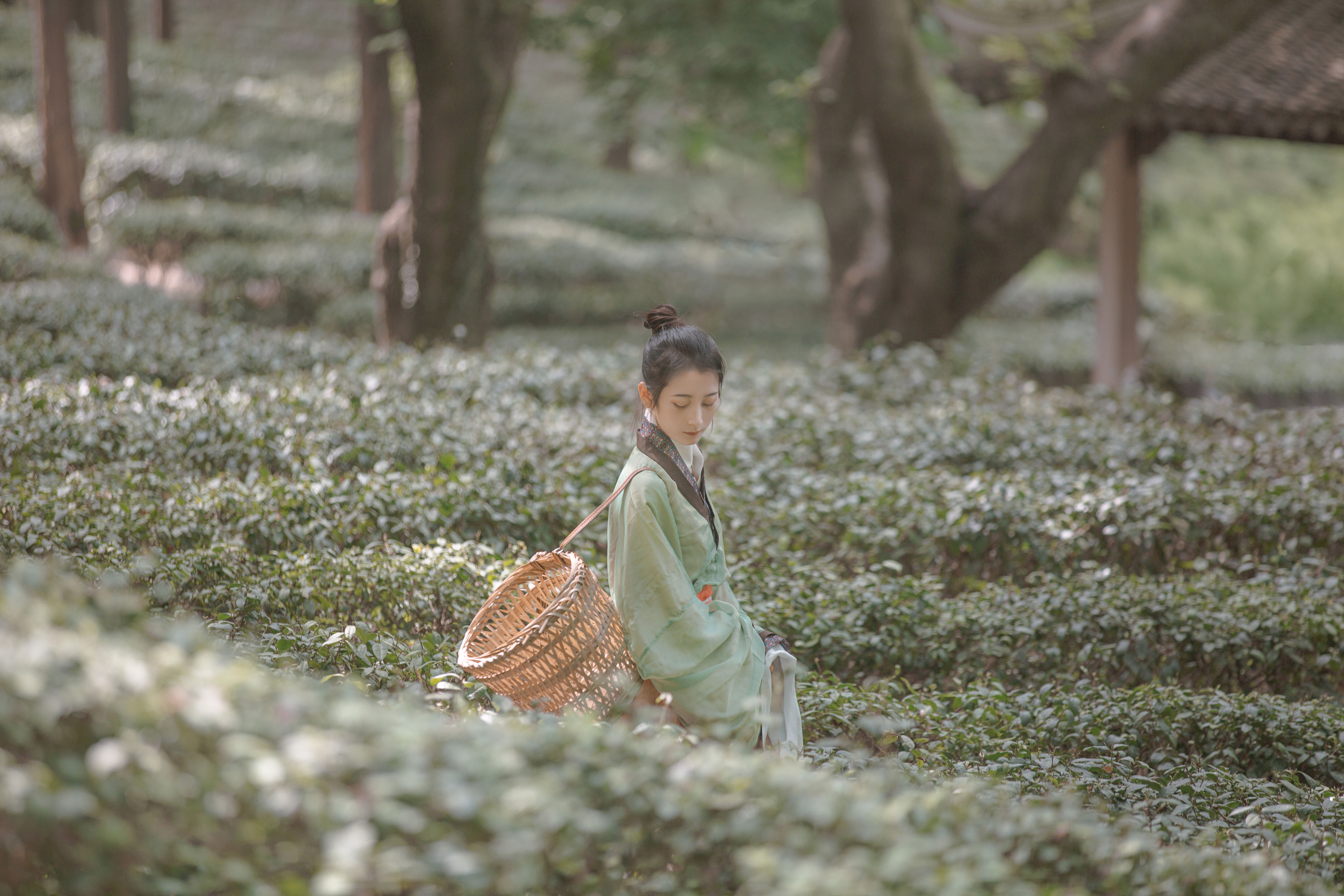 [YiTuYu艺图语] 五月的三花猫《赠隐者》 好看的4K高清无水印纯欲妹子意境唯美写真完整版图集