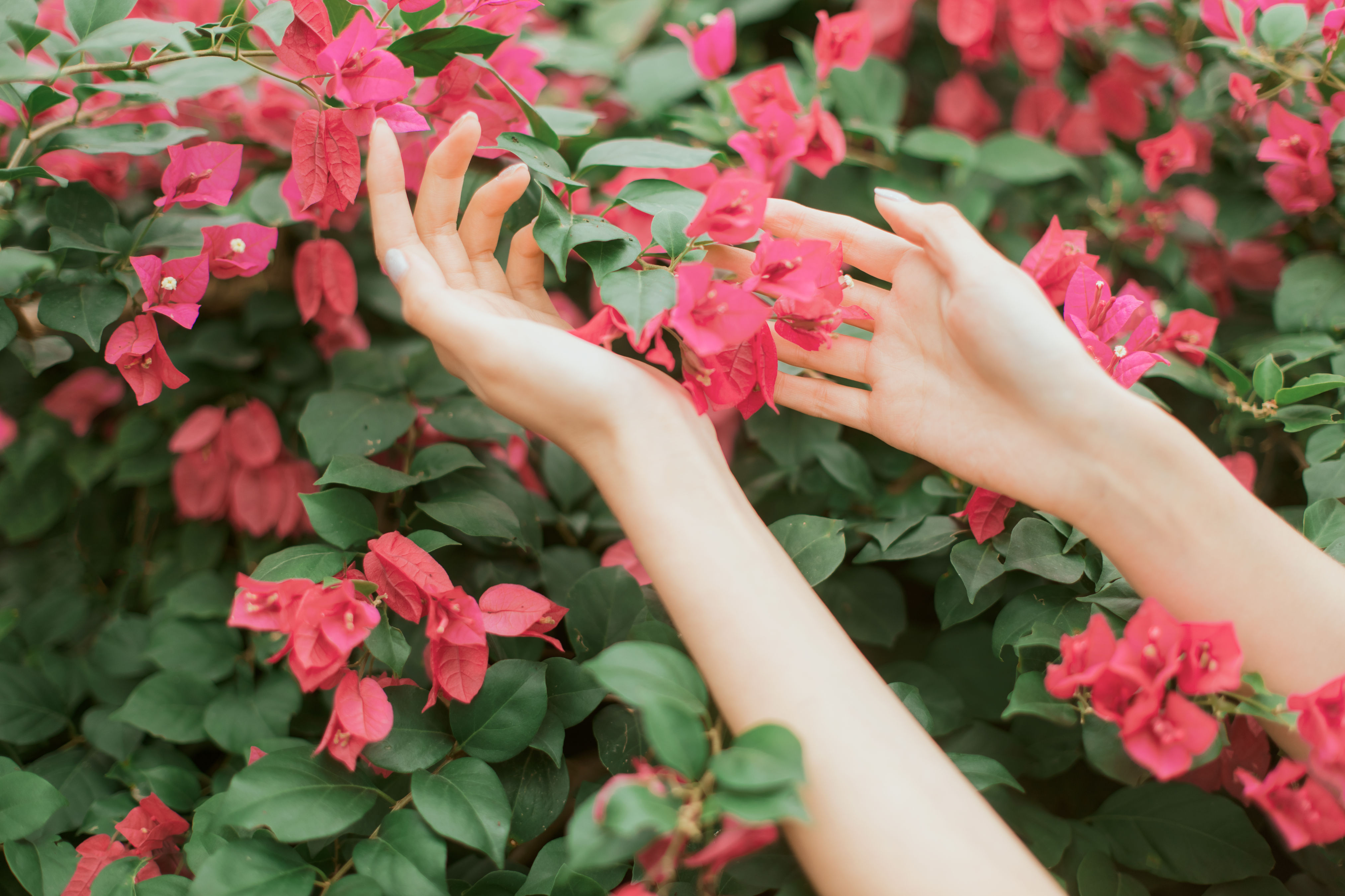 [YiTuYu艺图语] 航子就是航子呀《花开的季节》 好看的4K高清无水印纯欲妹子意境唯美写真完整版图集