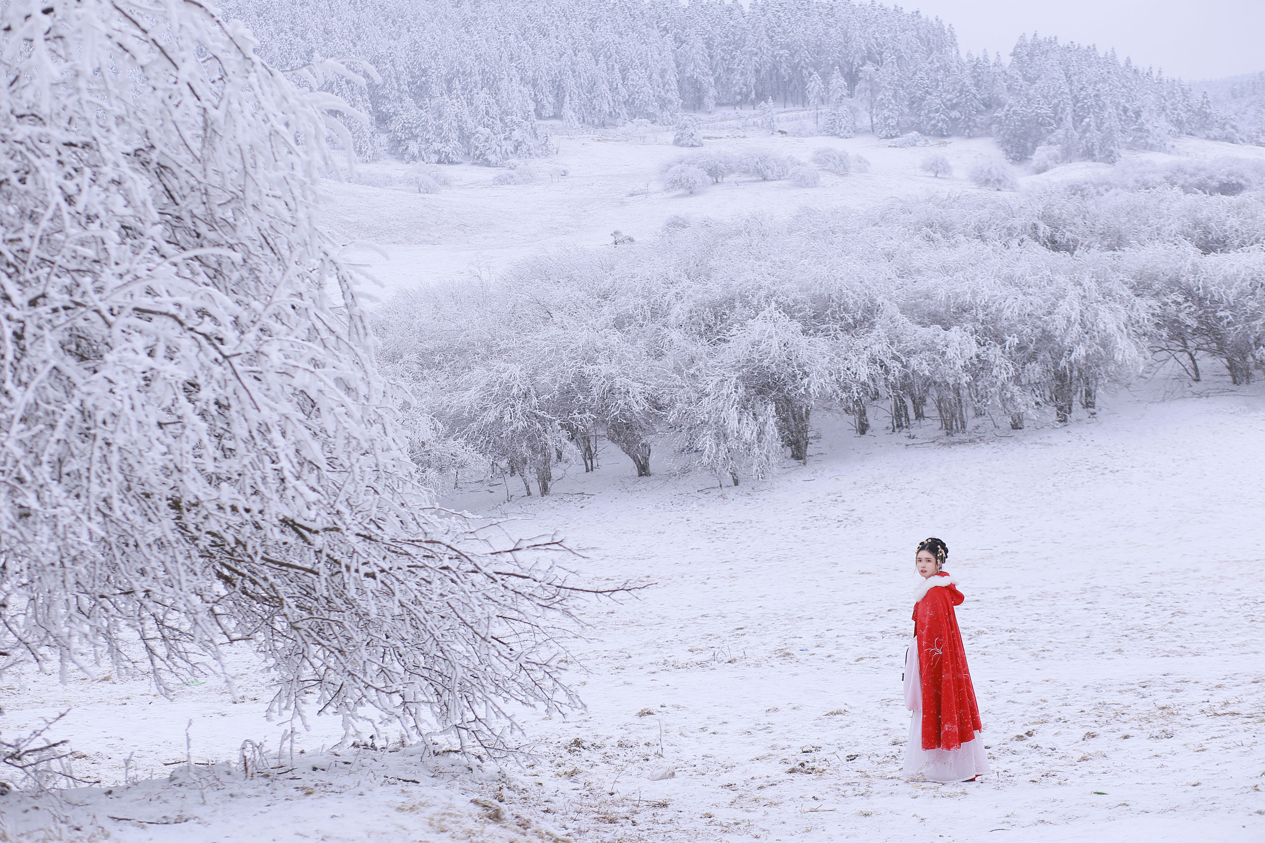 [YiTuYu艺图语] 沂越《大雪》 好看的4K高清无水印纯欲妹子意境唯美写真完整版图集