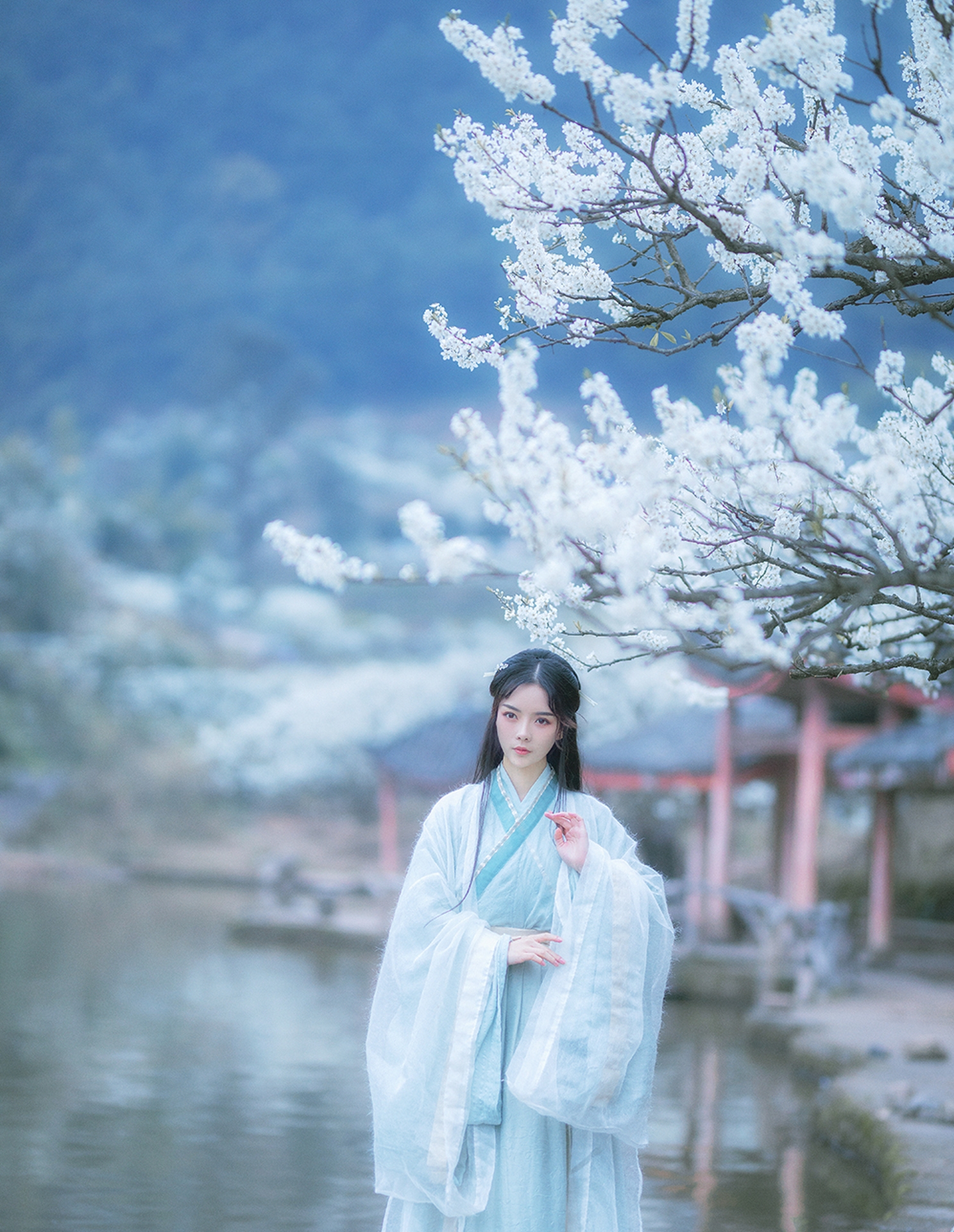 Panda_青卿 蓝衣薄衫唯美清新美少女 梨花古风汉服文化气质美女妹子美女图