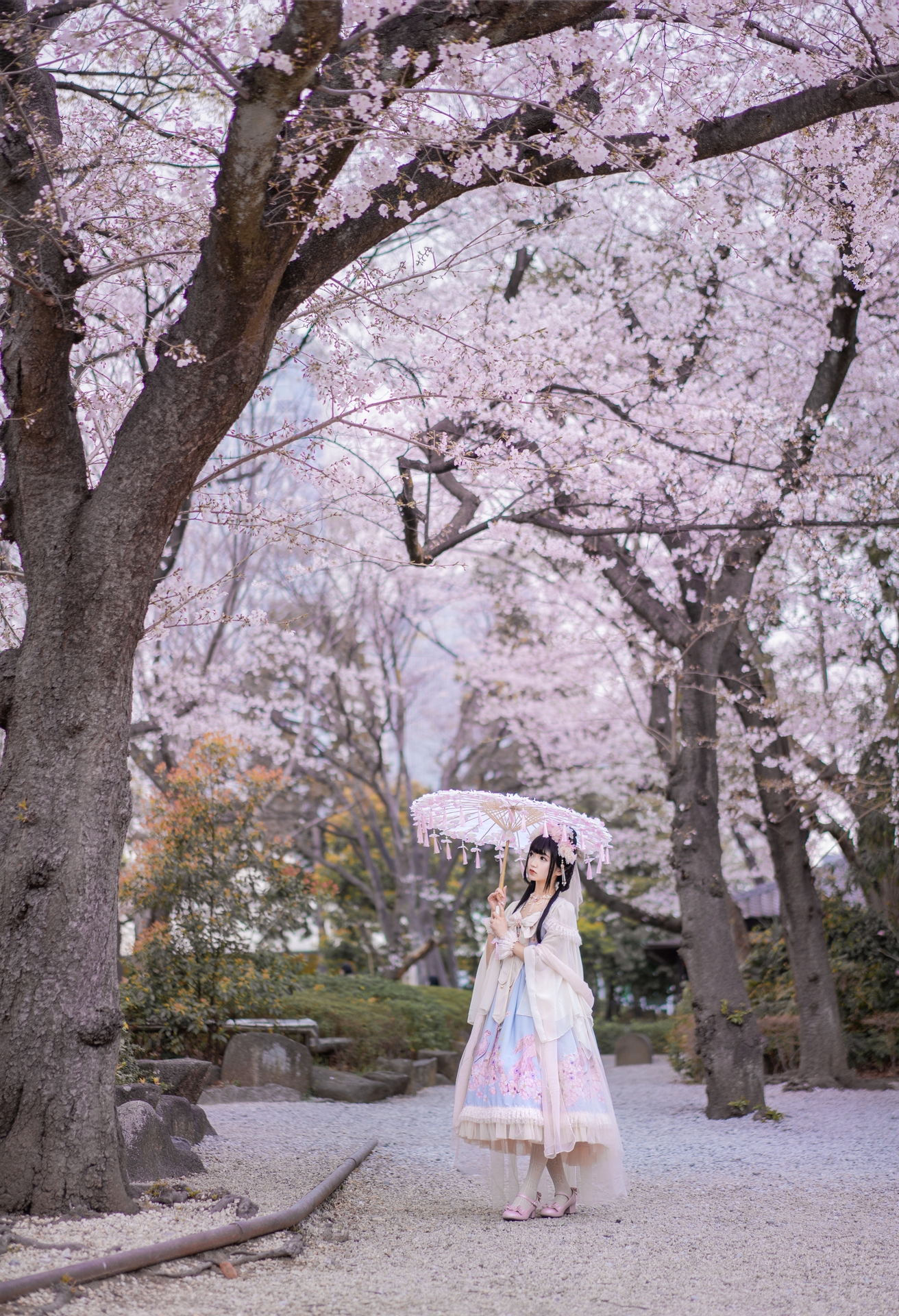 纯欲小小耶达可爱软萌系软妹子樱花系列写真 手持花伞白蓝花间长洛丽塔lolita小腿袜美少女