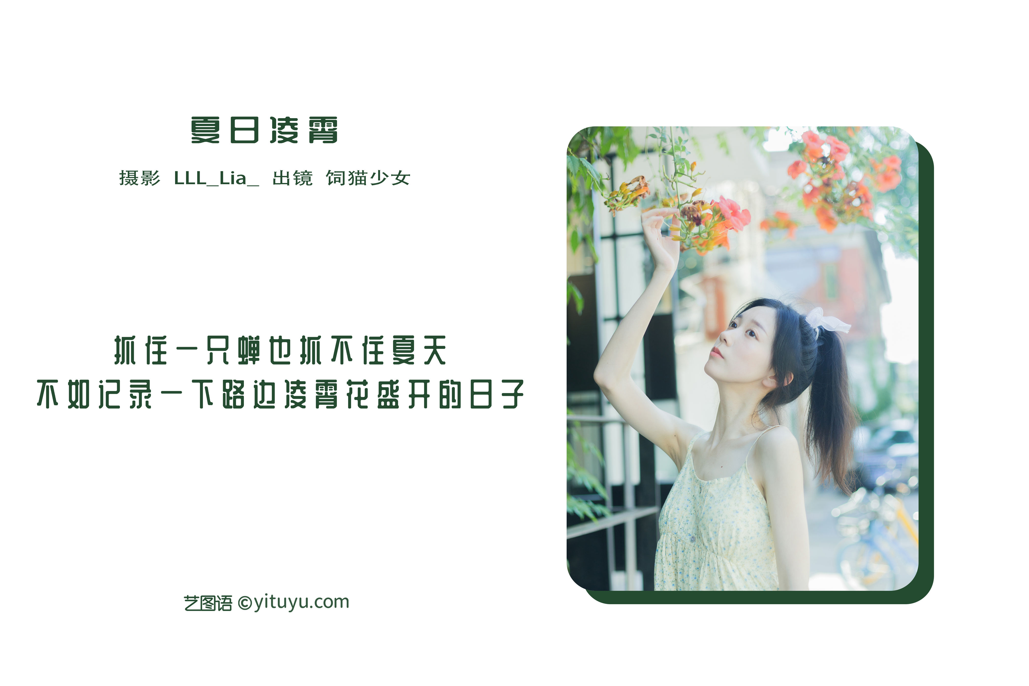 [YiTuYu艺图语] 饲猫少女- 夏日凌霄 好看的4K高清无水印纯欲意境唯美写真图集