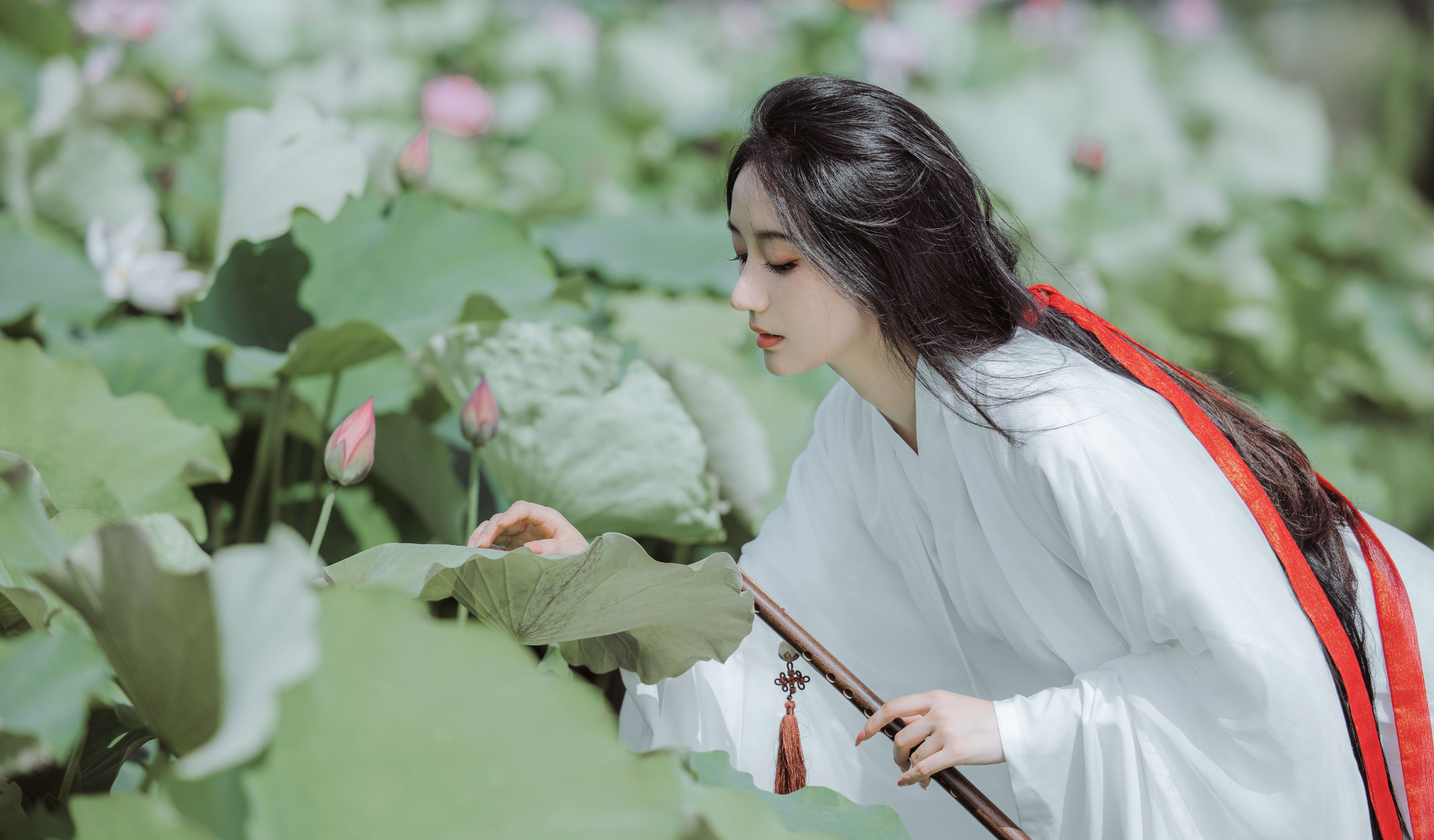 [YiTuYu艺图语] 柒苡安 荷花 好看的4K高清无水印纯欲意境唯美写真图集