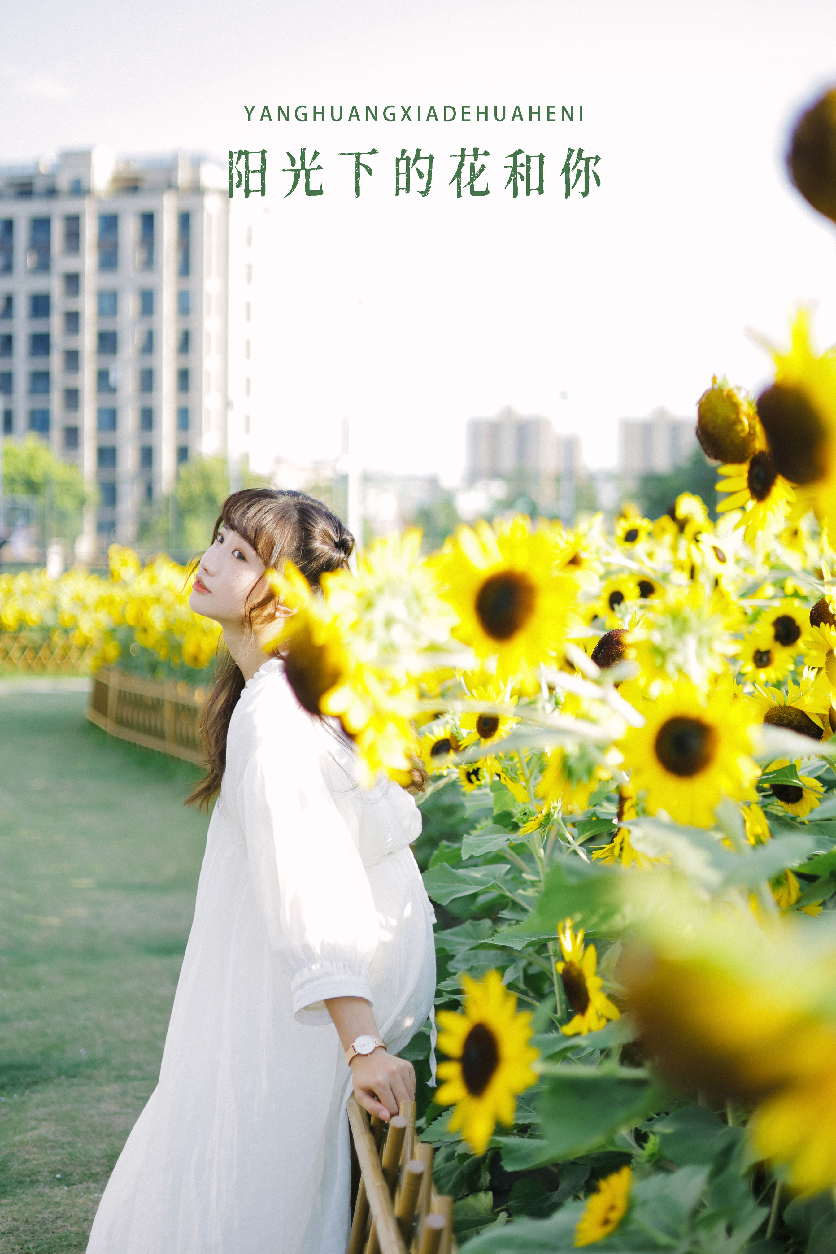 阳光下的花和你 日系 少女 向日葵 花 写真集