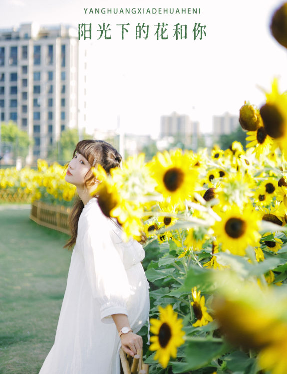 阳光下的花和你 日系 少女 向日葵 花 写真集