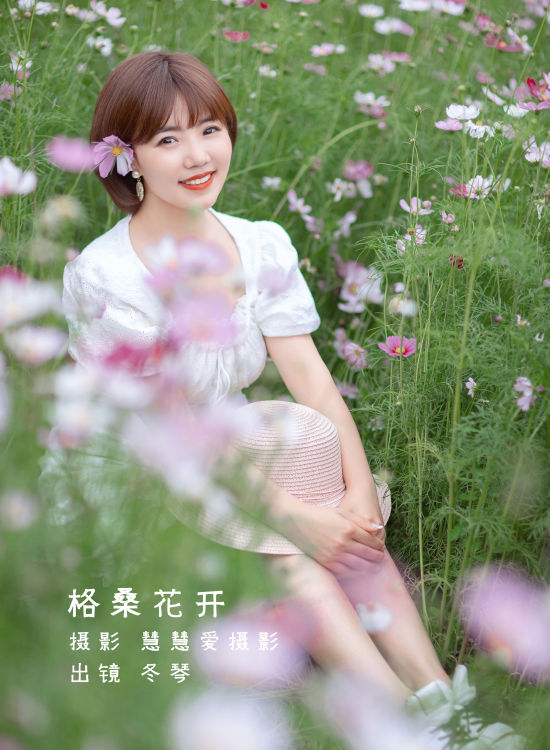 格桑花开 小清新 花 美好