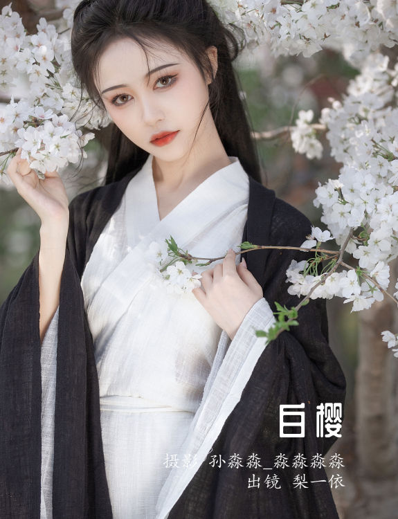 白樱 唯美 古风 花 樱花 小清新 精美 养眼 中国风