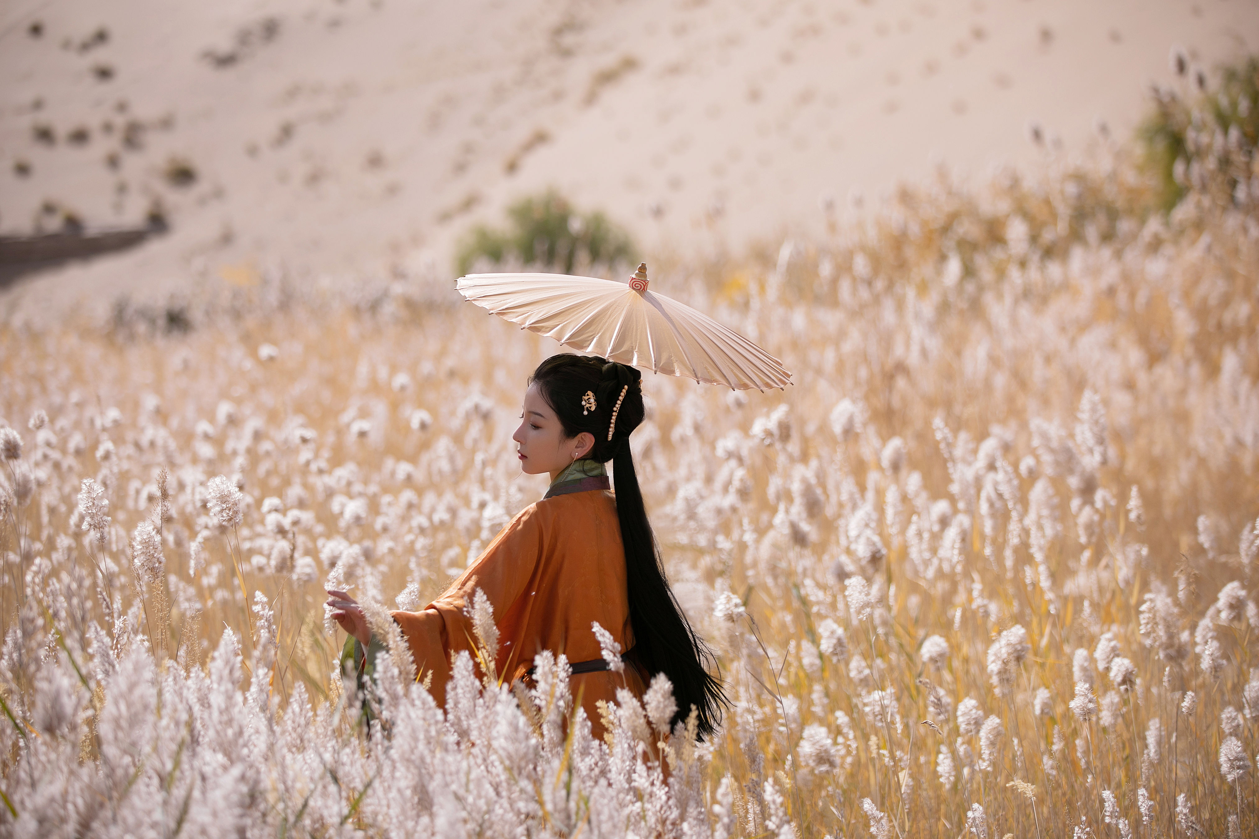 我与远方只隔山几重 伤感 思念 古风 唯美 意境 情感 艺术