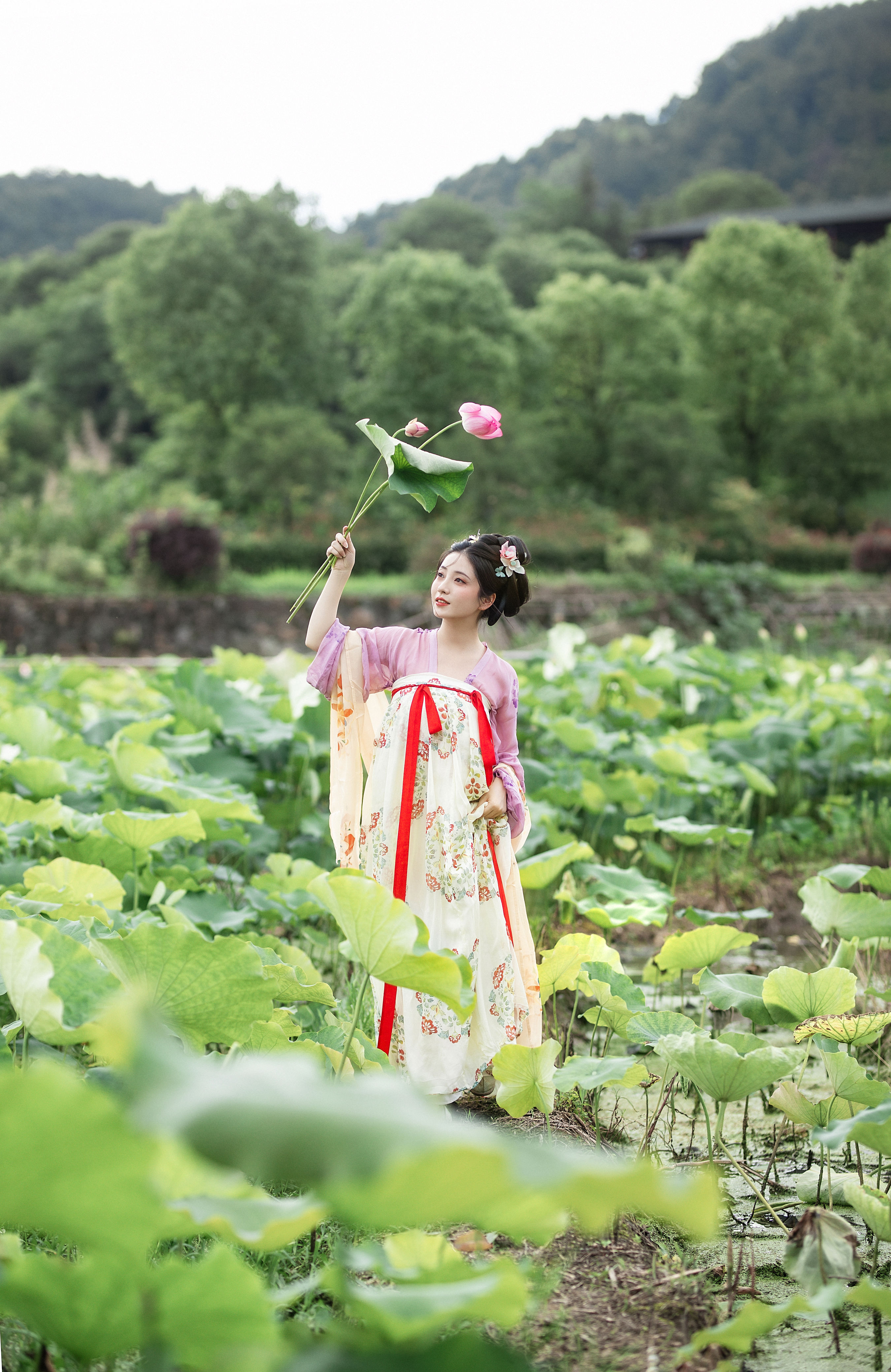 采荷 养眼 唯美 治愈系 荷花 少女 精美 古风 美好 漂亮 优美