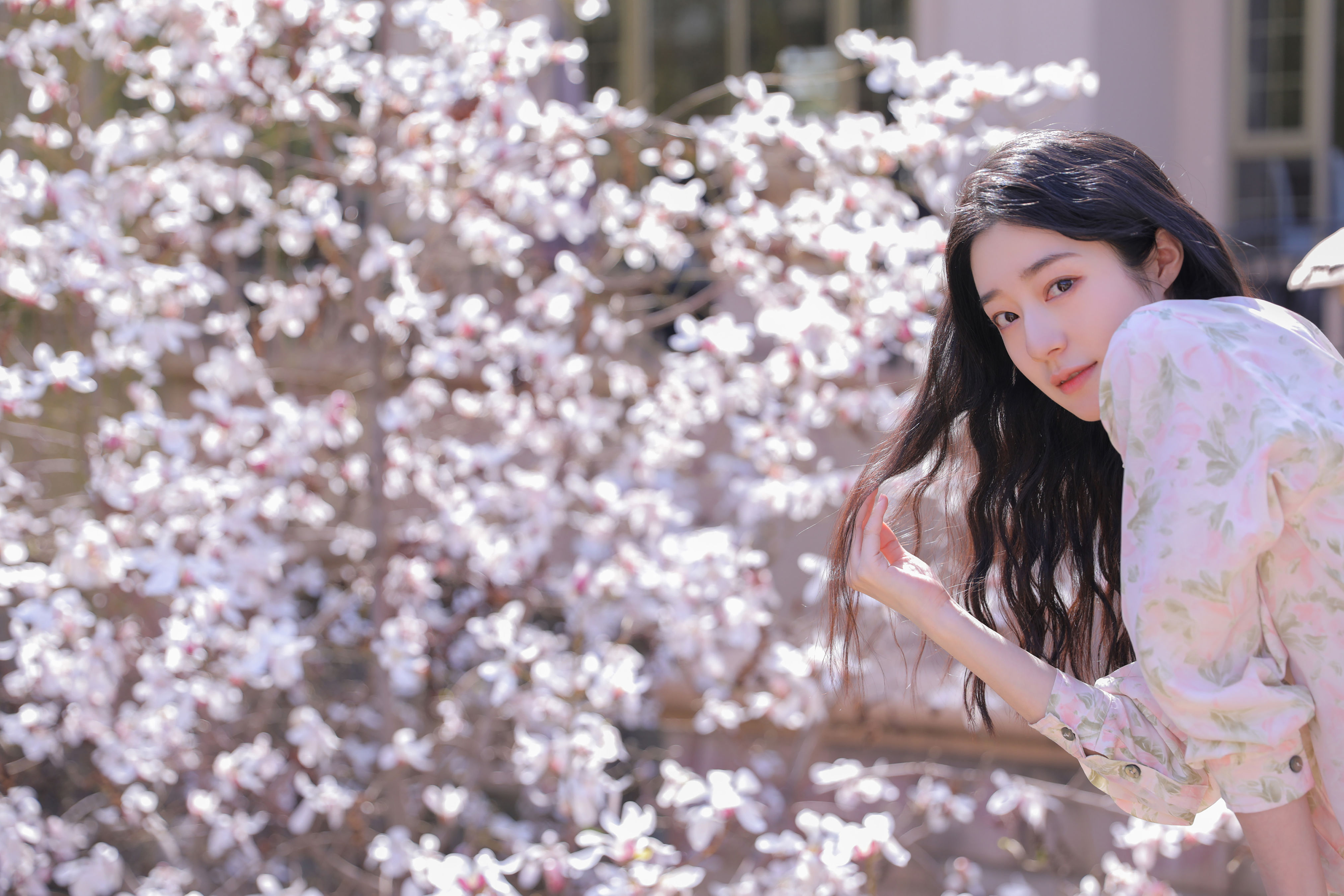 遇见白花树 女神 写真集 小清新 精美 养眼