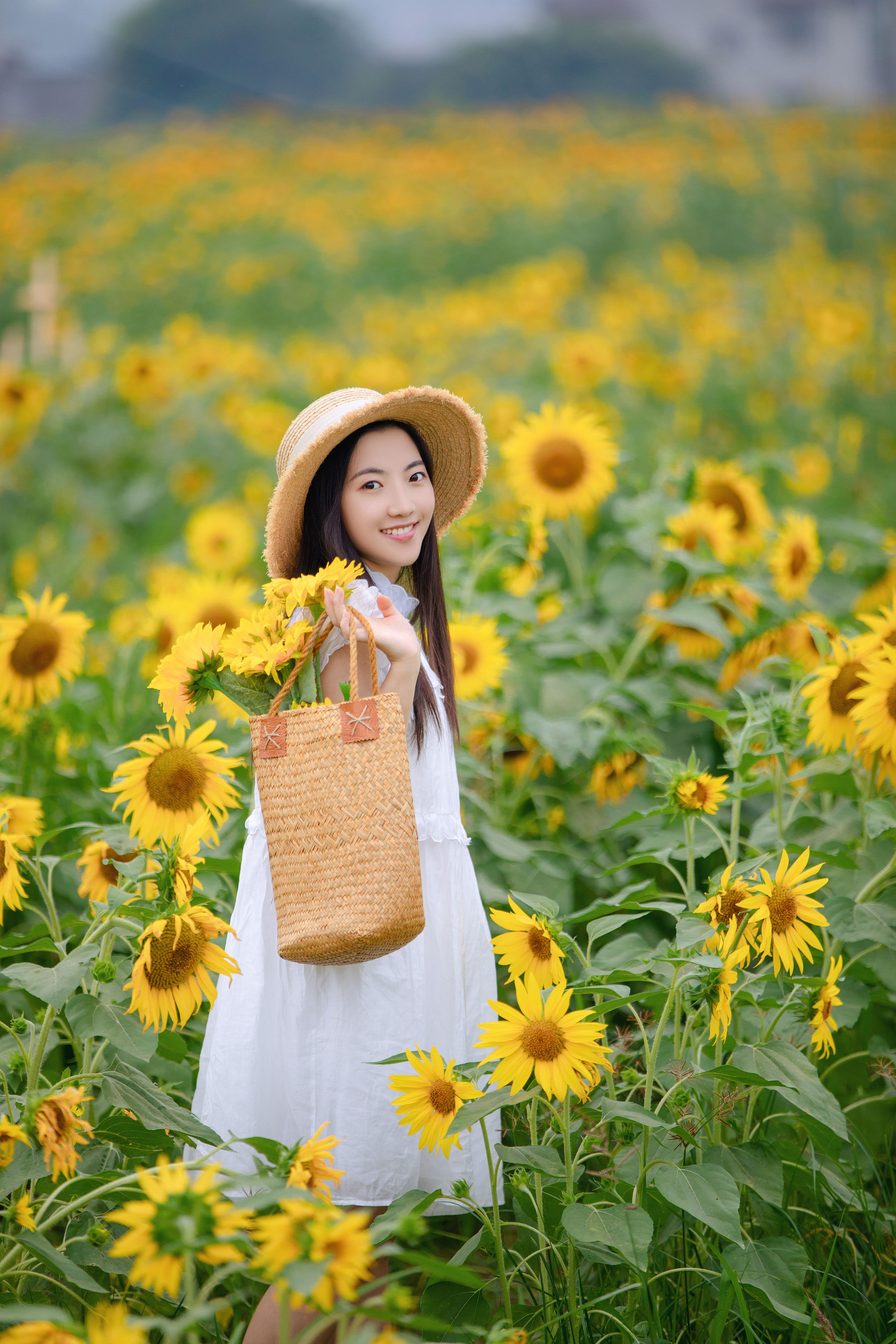 向日葵女孩 向日葵 花 少女 小清新 写真集