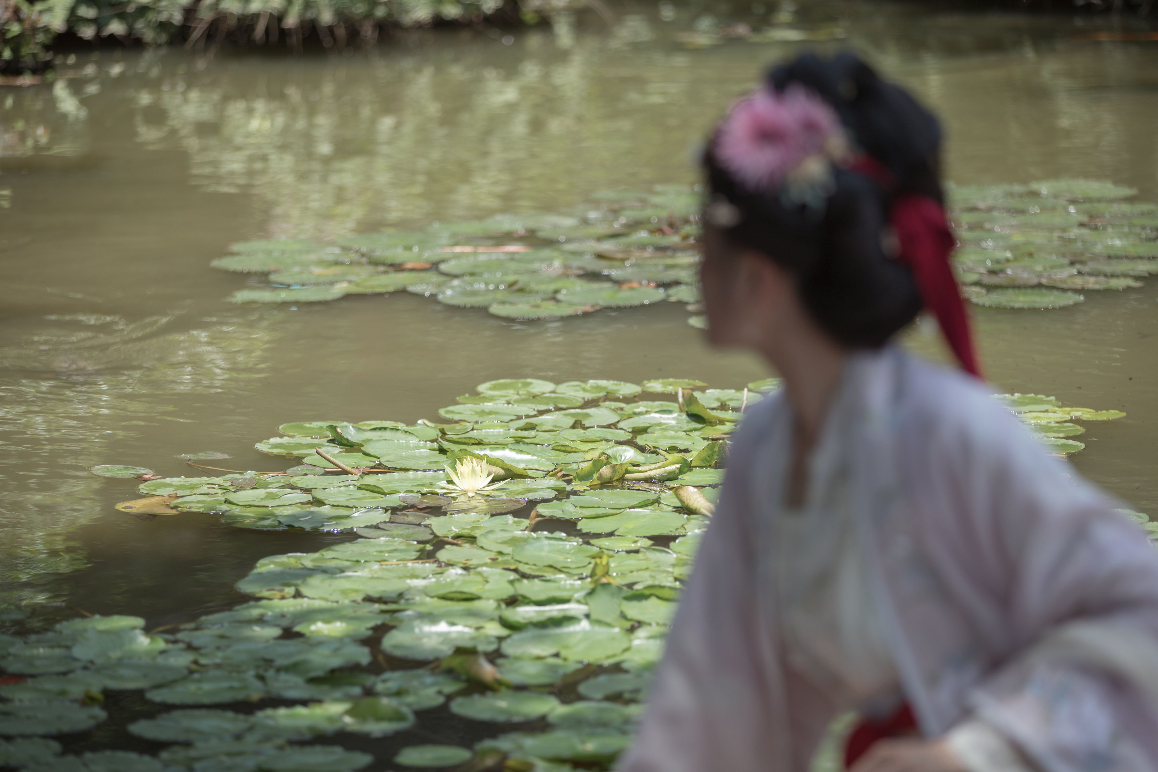 张好好 精美 花魁 古风 优美 优雅