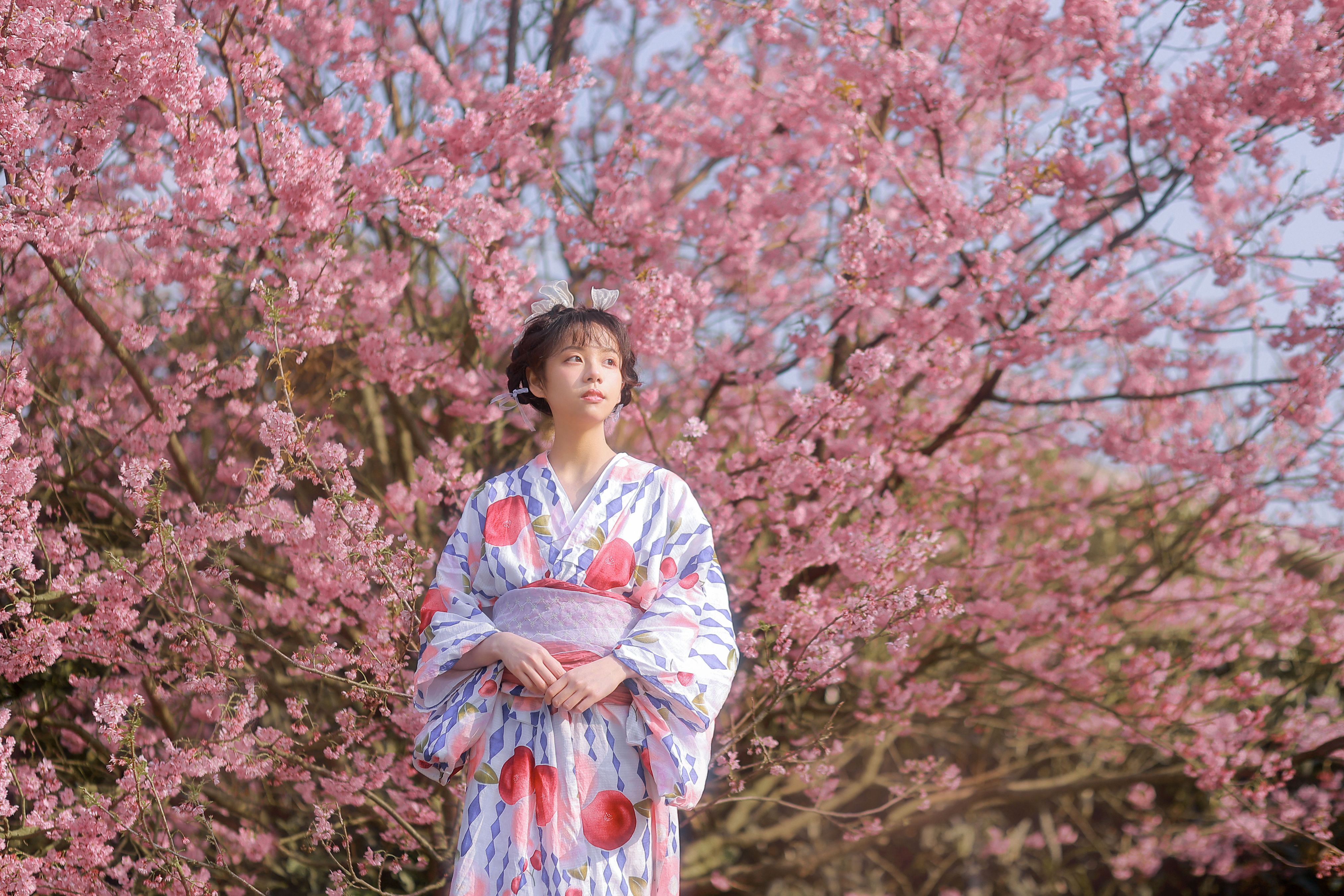 春樱 花 樱花 春天 女生 漂亮 精美 小清新