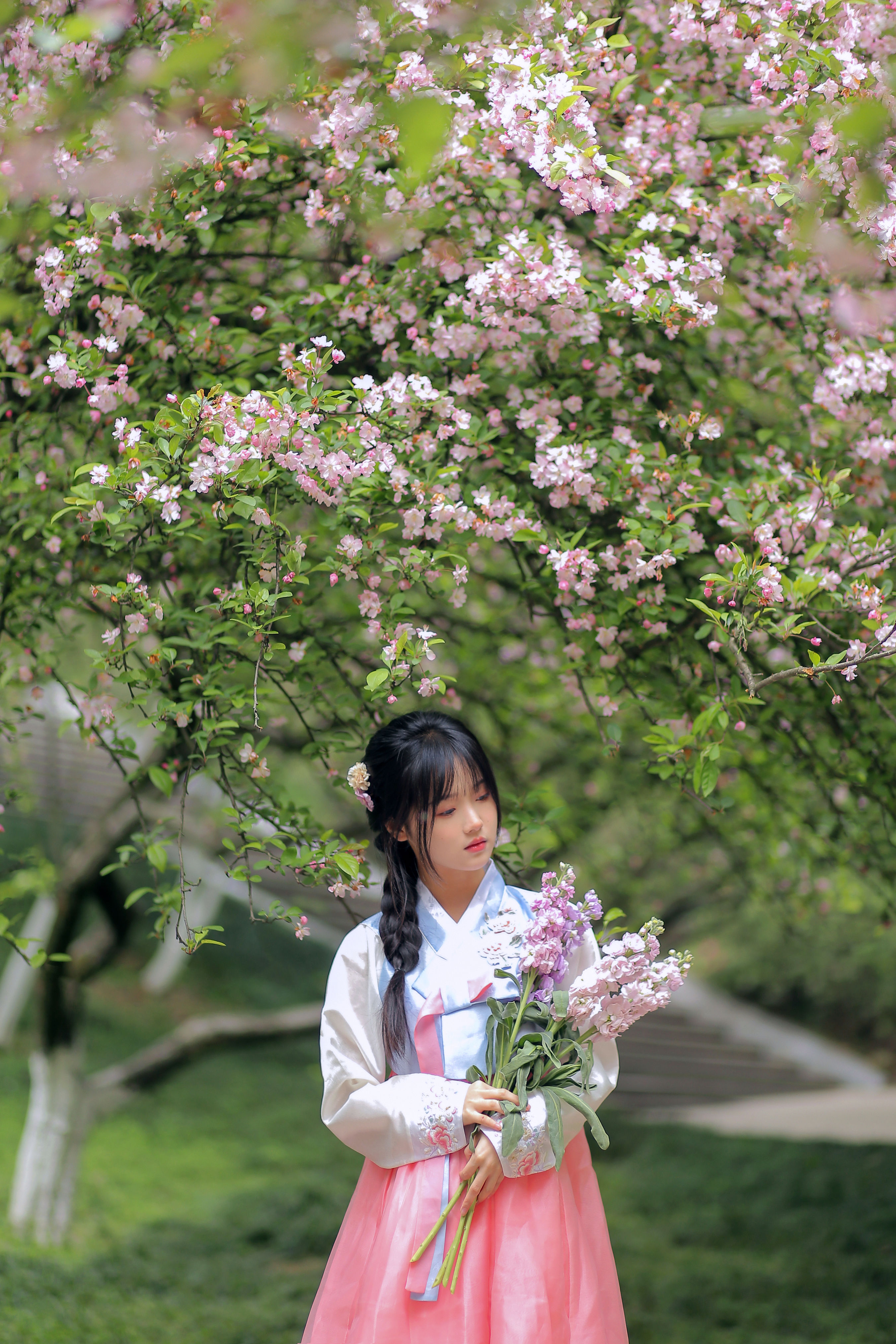 春日海棠 优美 花 春天 写真集 少女 树林