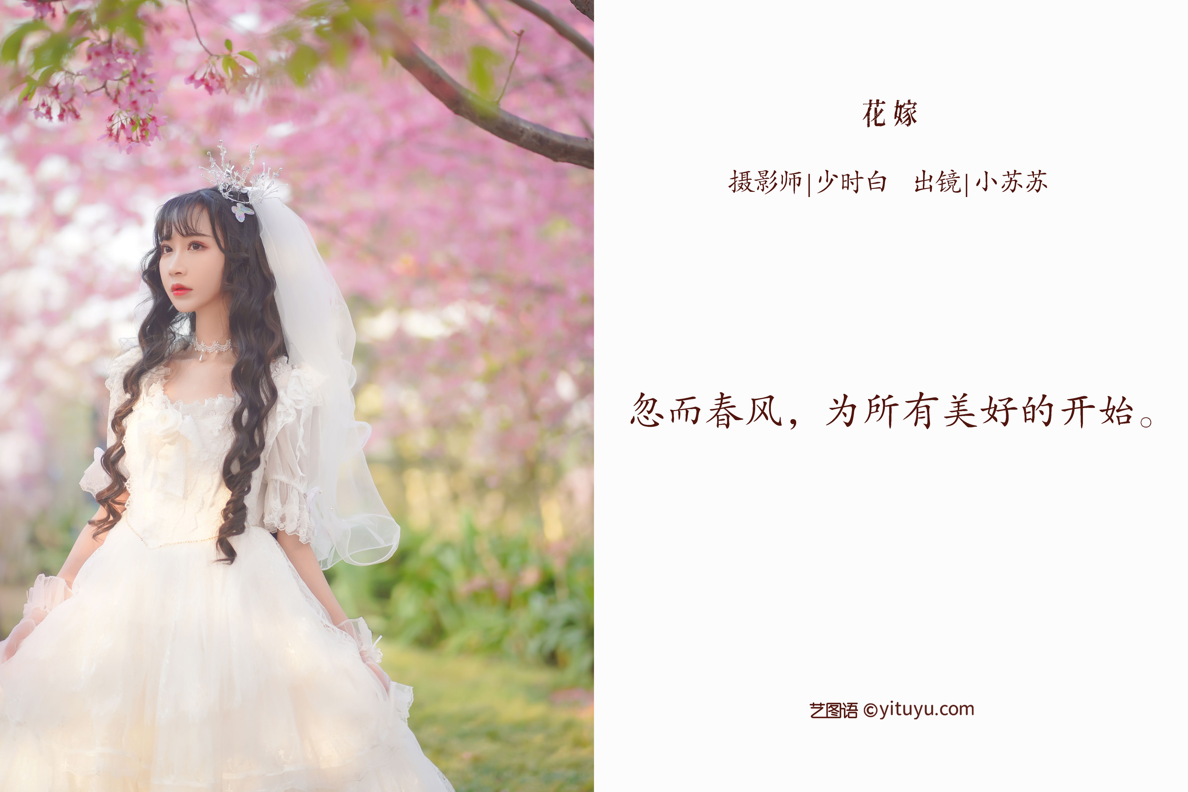 花嫁 精美 美好 文艺 优美 模特 女神 婚纱 新娘