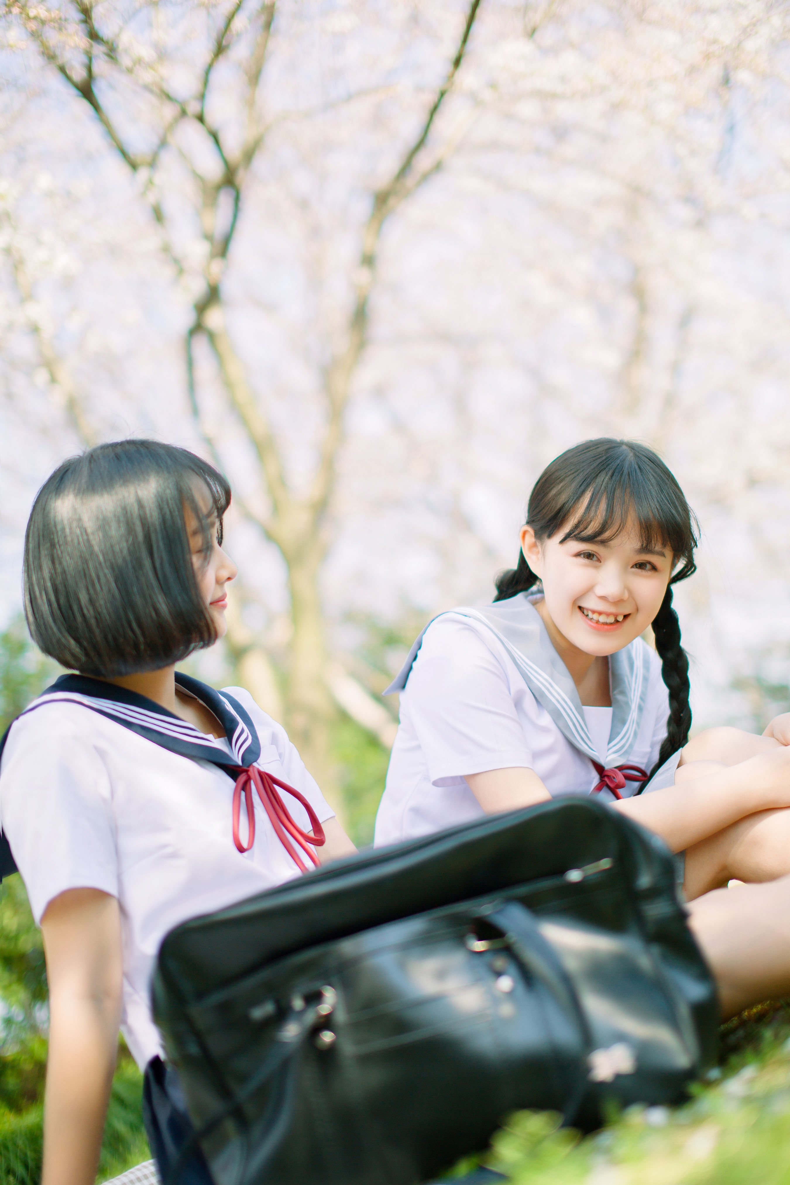 樱花少女 唯美 治愈系 青春 小清新 日系 花 樱花 春天 少女