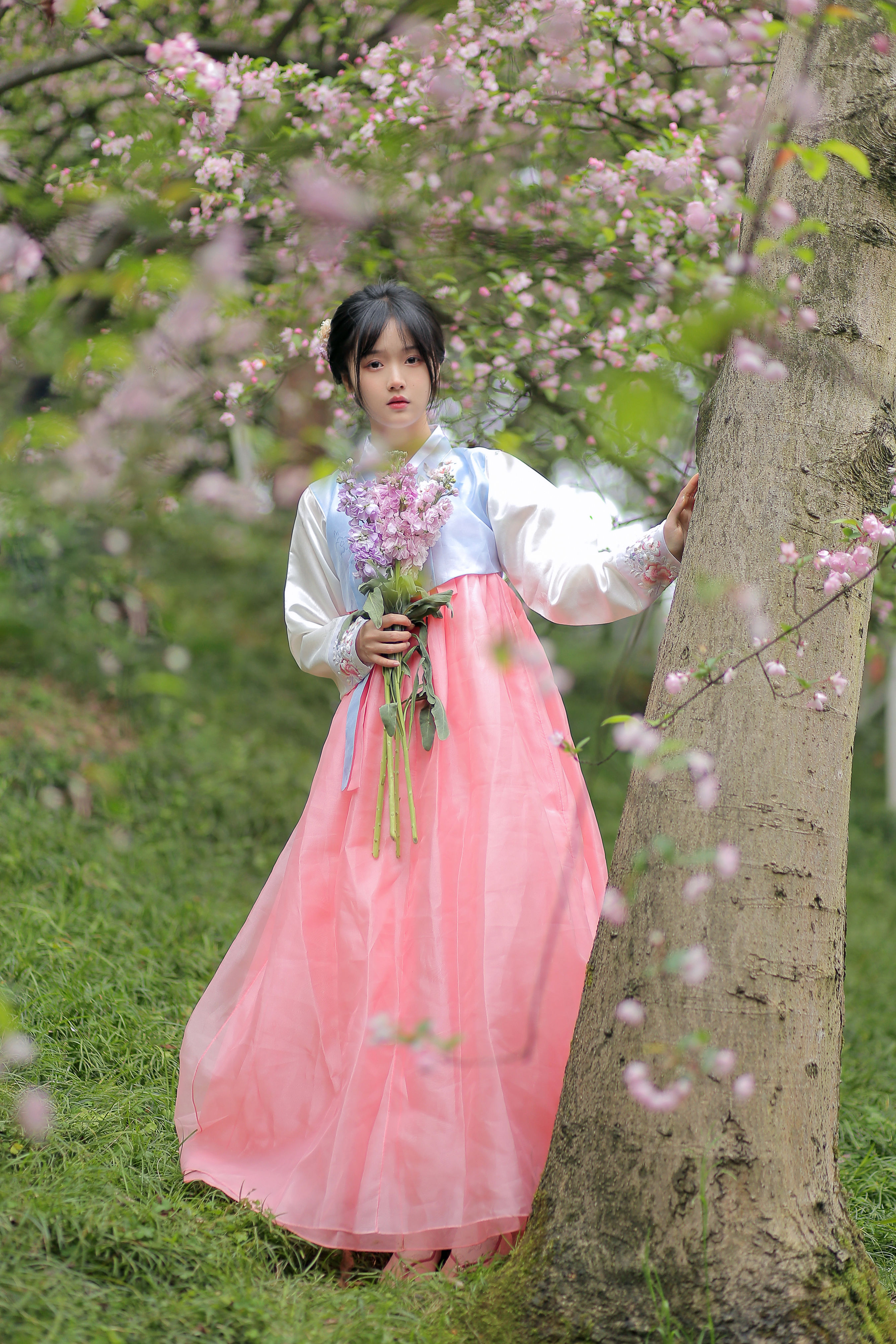 春日海棠 优美 花 春天 写真集 少女 树林