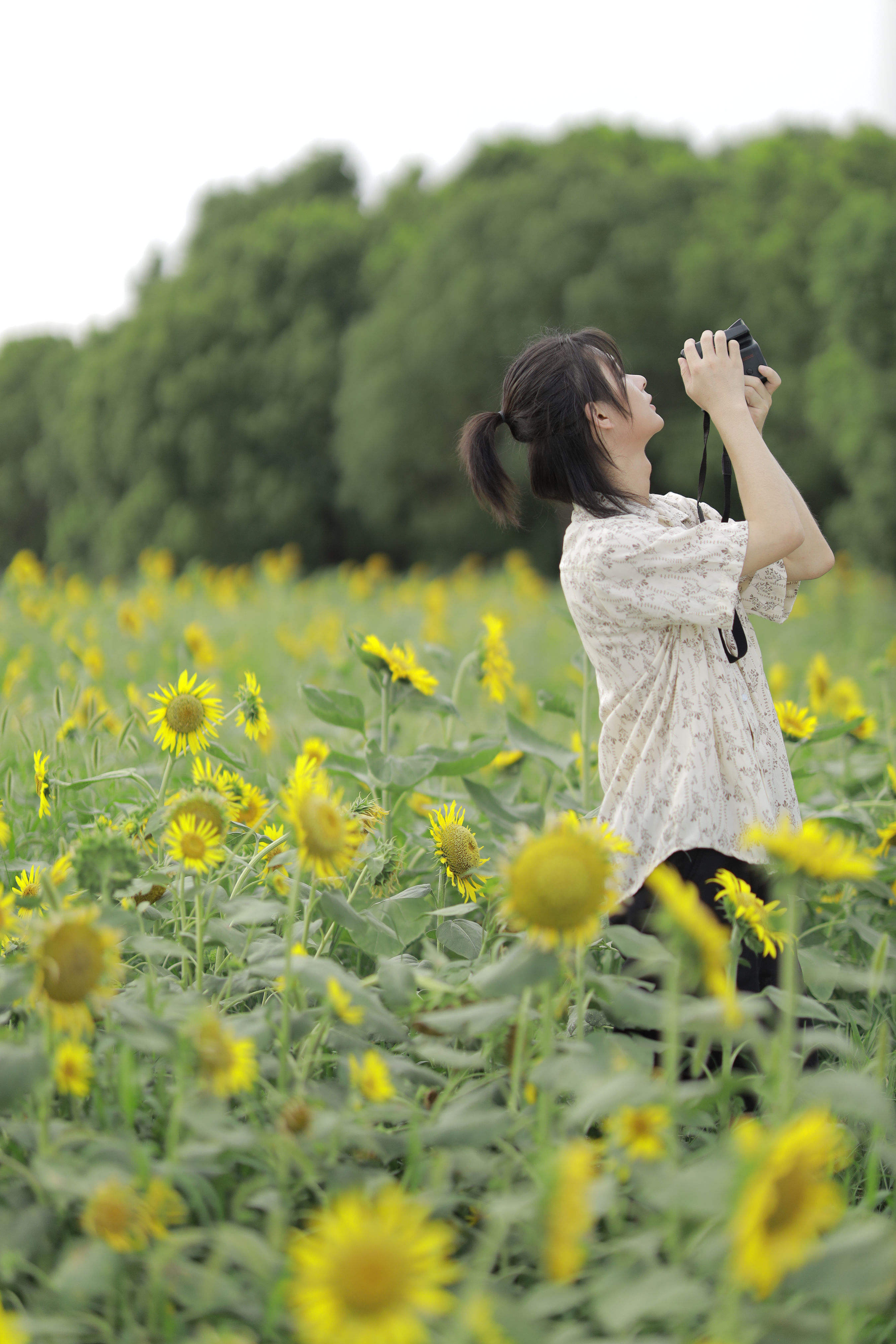 向日葵少年 小清新 男生 向日葵 花 写真集