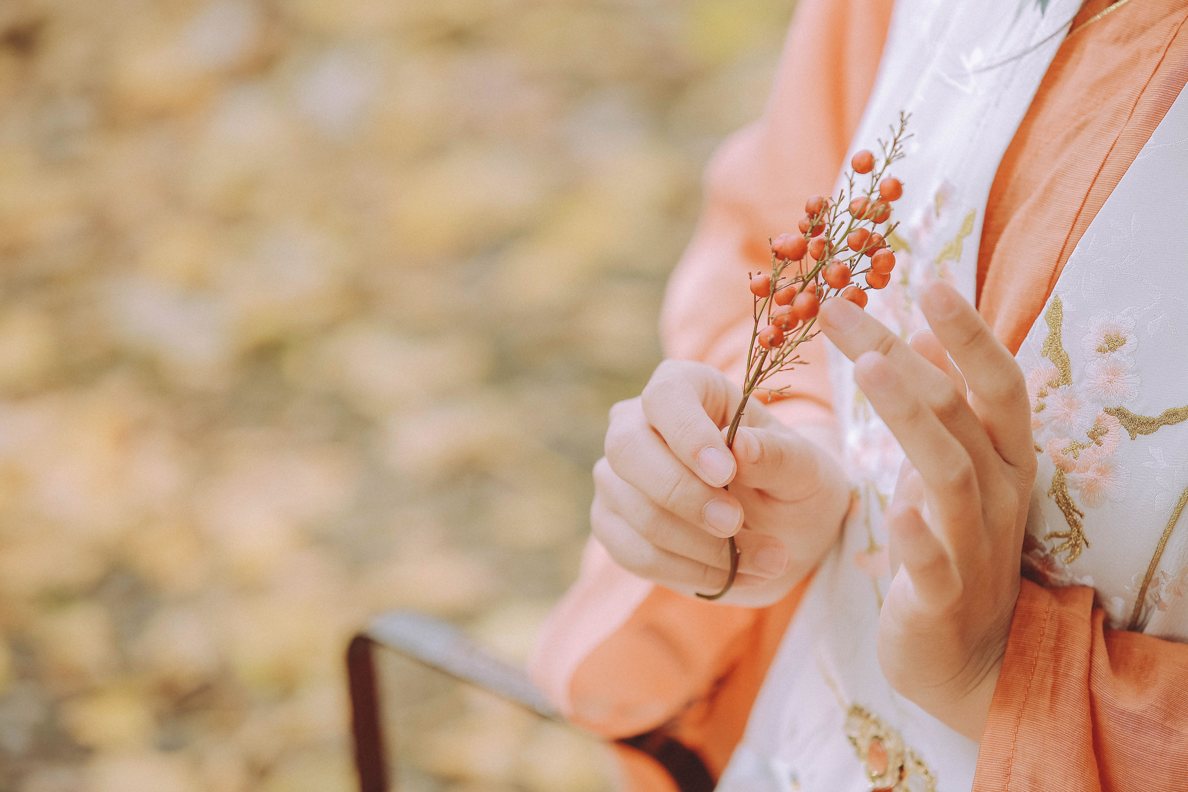 秋思 伤感 唯美 意境 思念 艺术 优美 古风 秋天