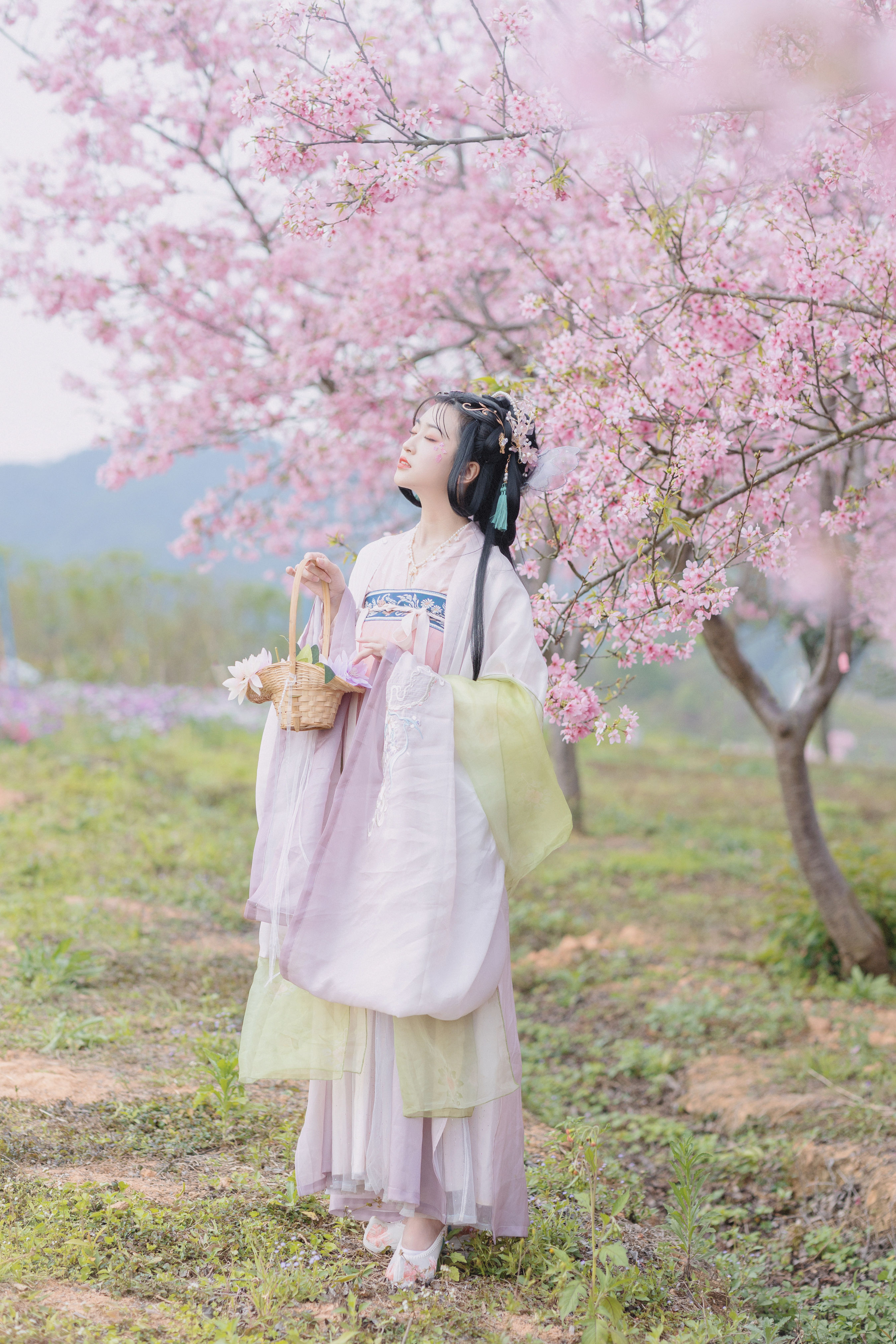 樱 精美 漂亮 古风 花 樱花 少女 写真集