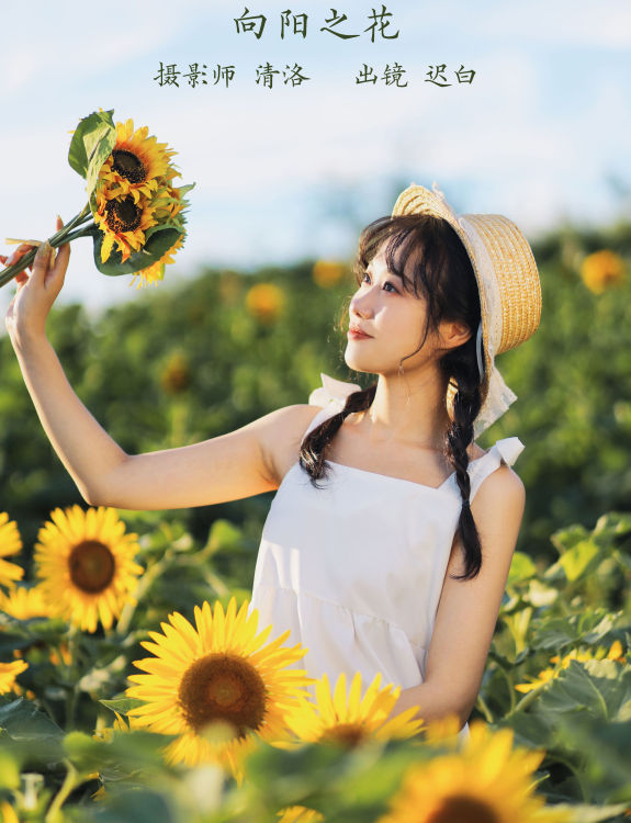 向阳之花 唯美 小清新 漂亮 女神 向日葵 少女