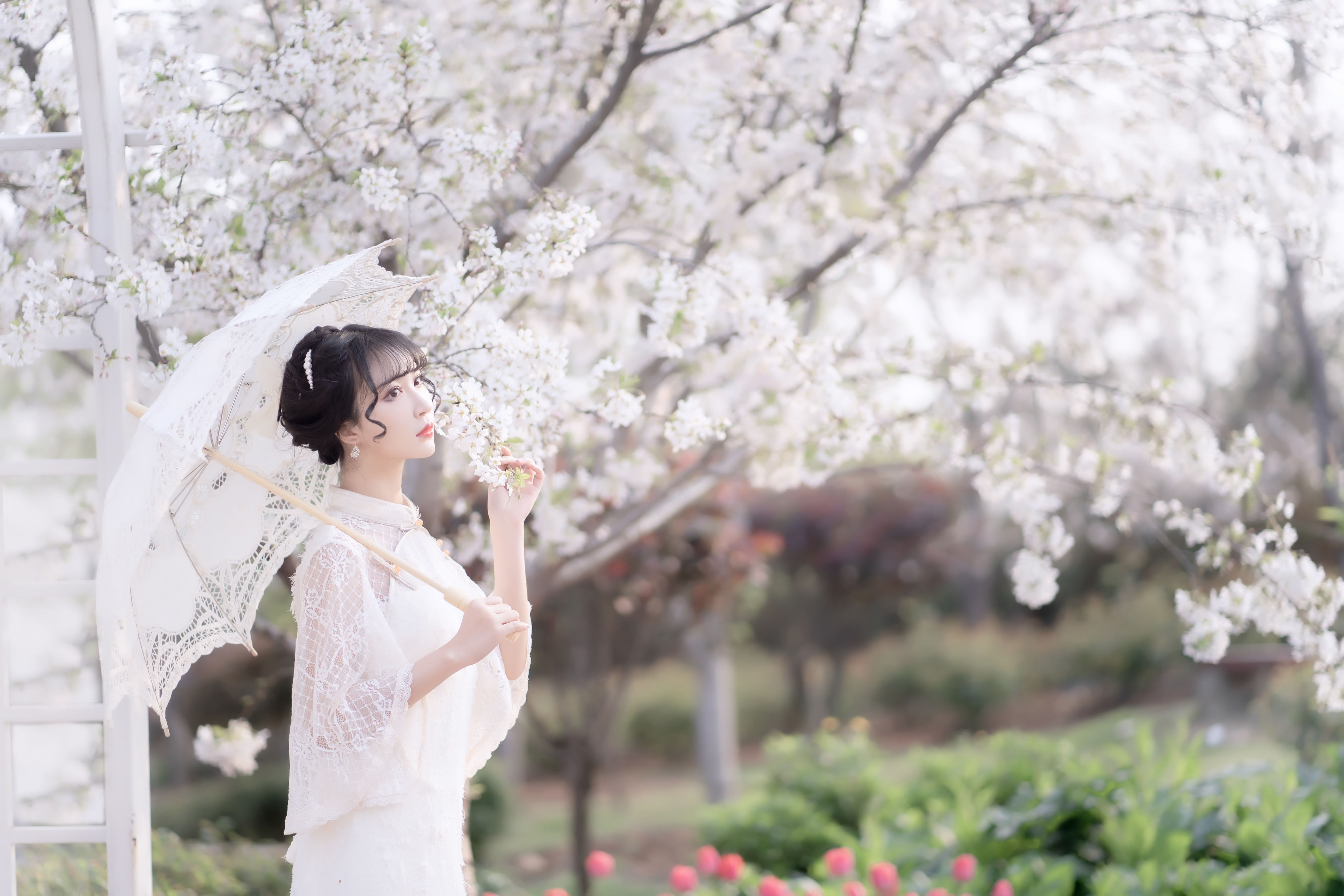 玲珑 唯美 漂亮 优美 优雅 女神 花