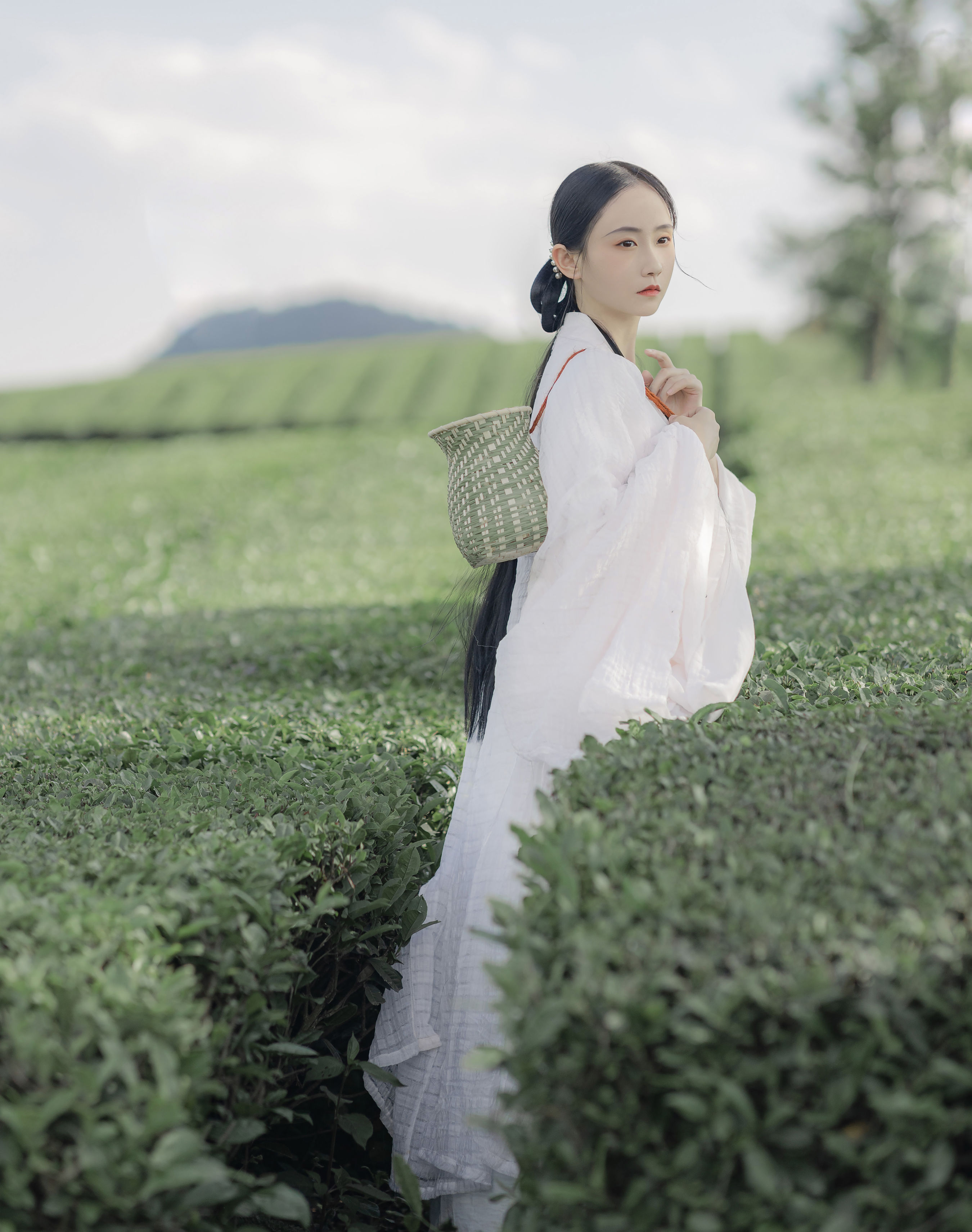 衣袖染茶香 唯美 禅意 意境 中国风 仙气 古风