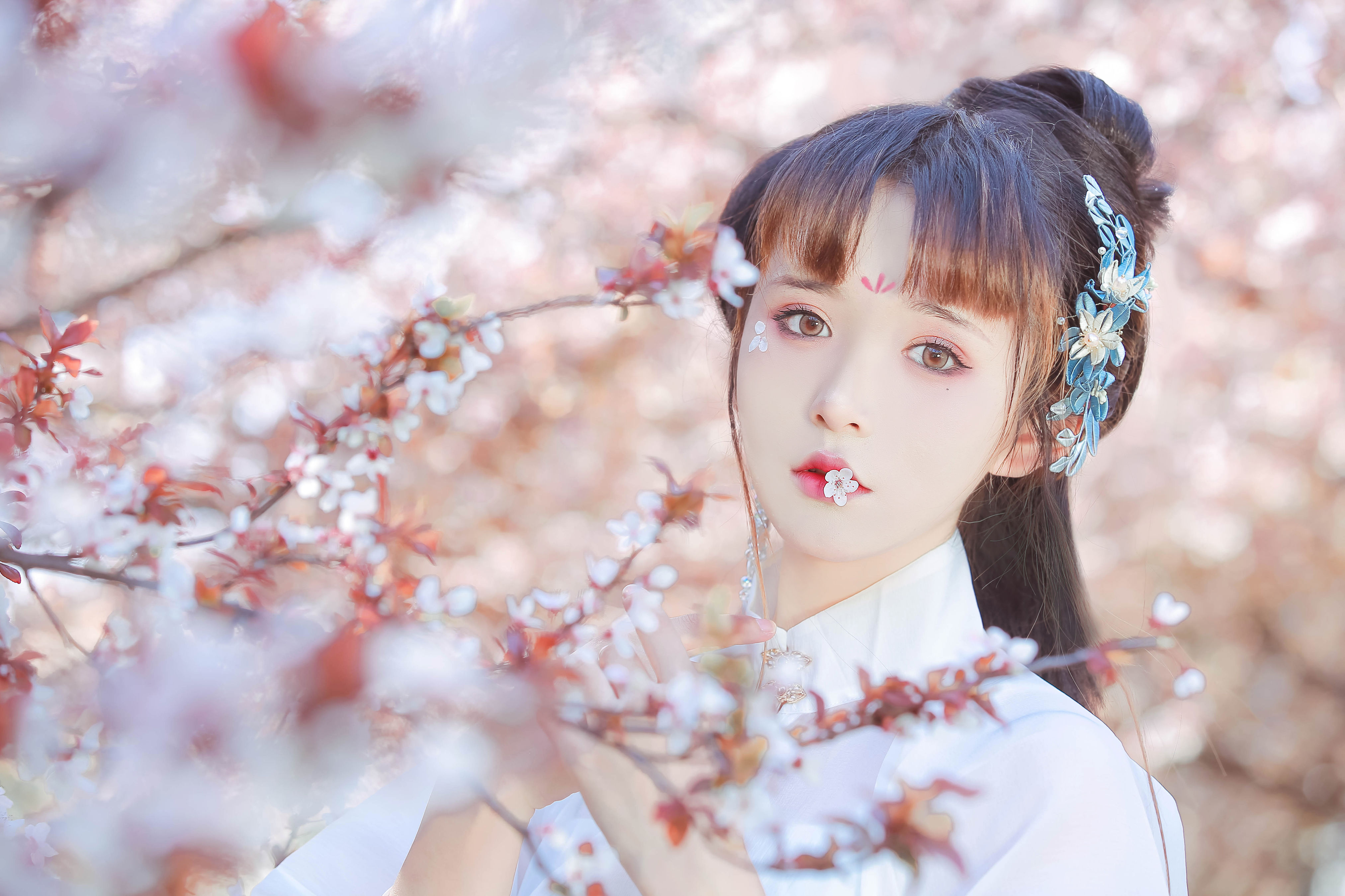 晴光好 古装 花 树林 少女