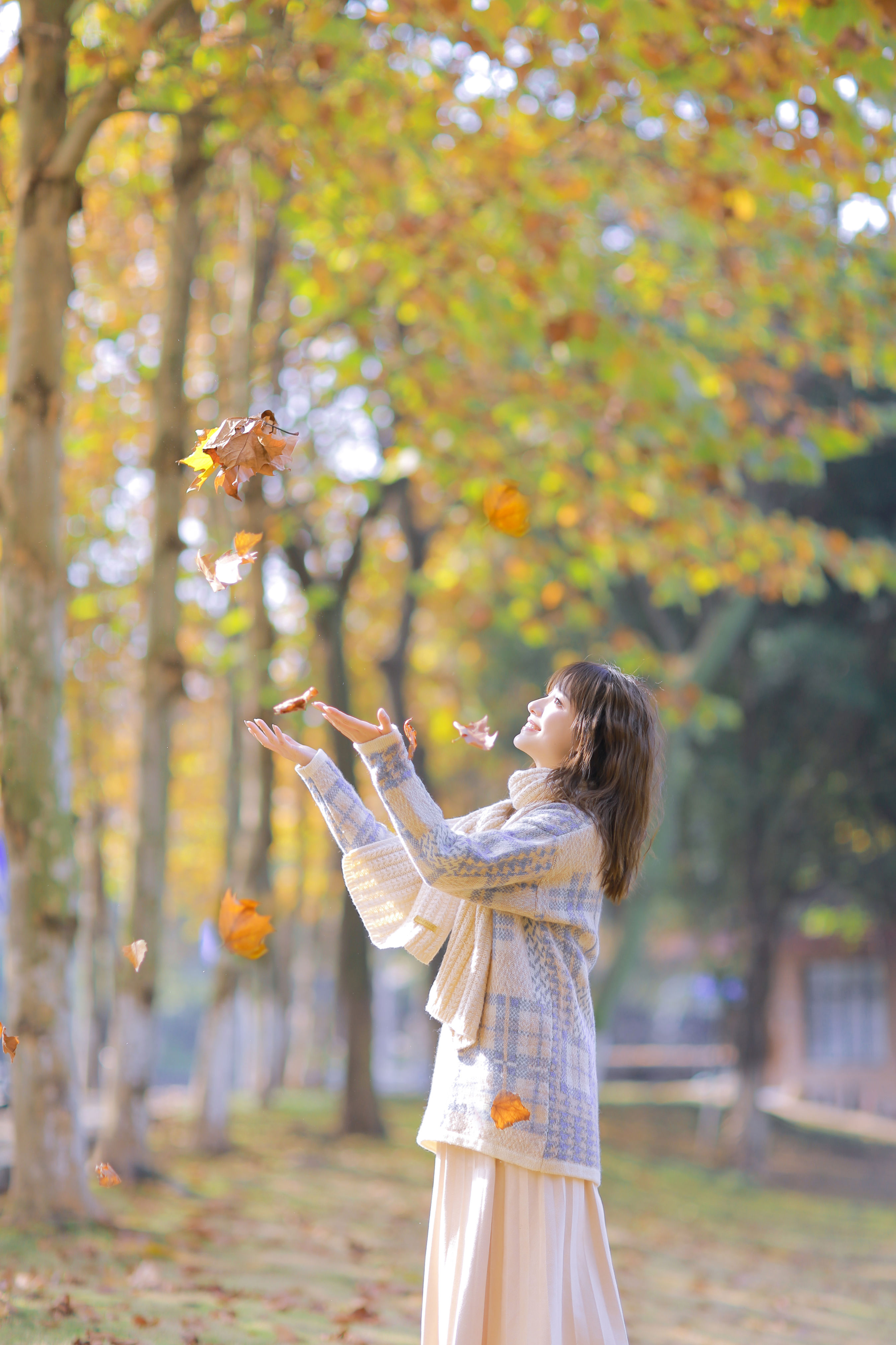 秋日物语 治愈系 小清新 优美 光影 文艺 美好 秋天 少女