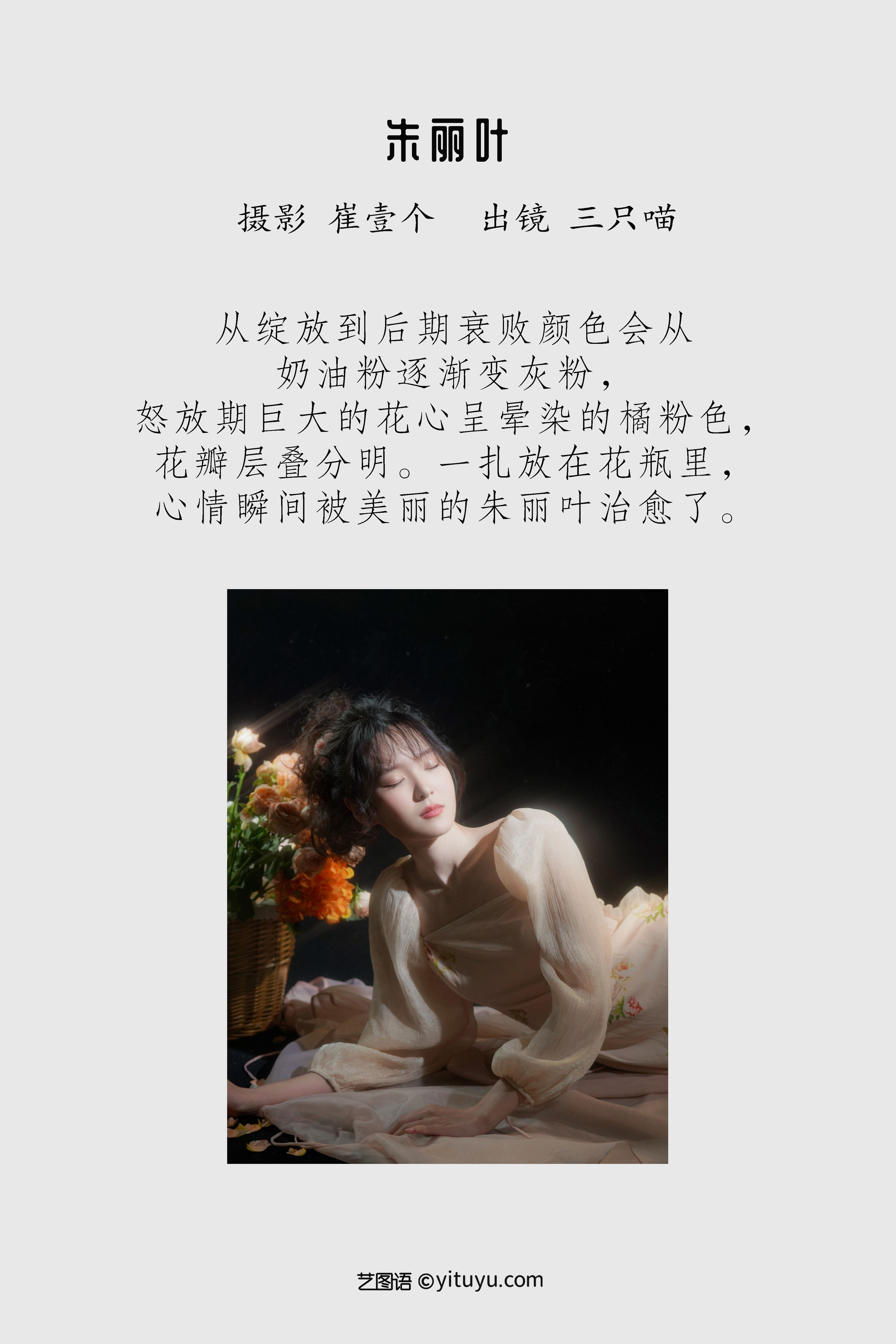 朱丽叶 精美 艺术 人像 花 少女