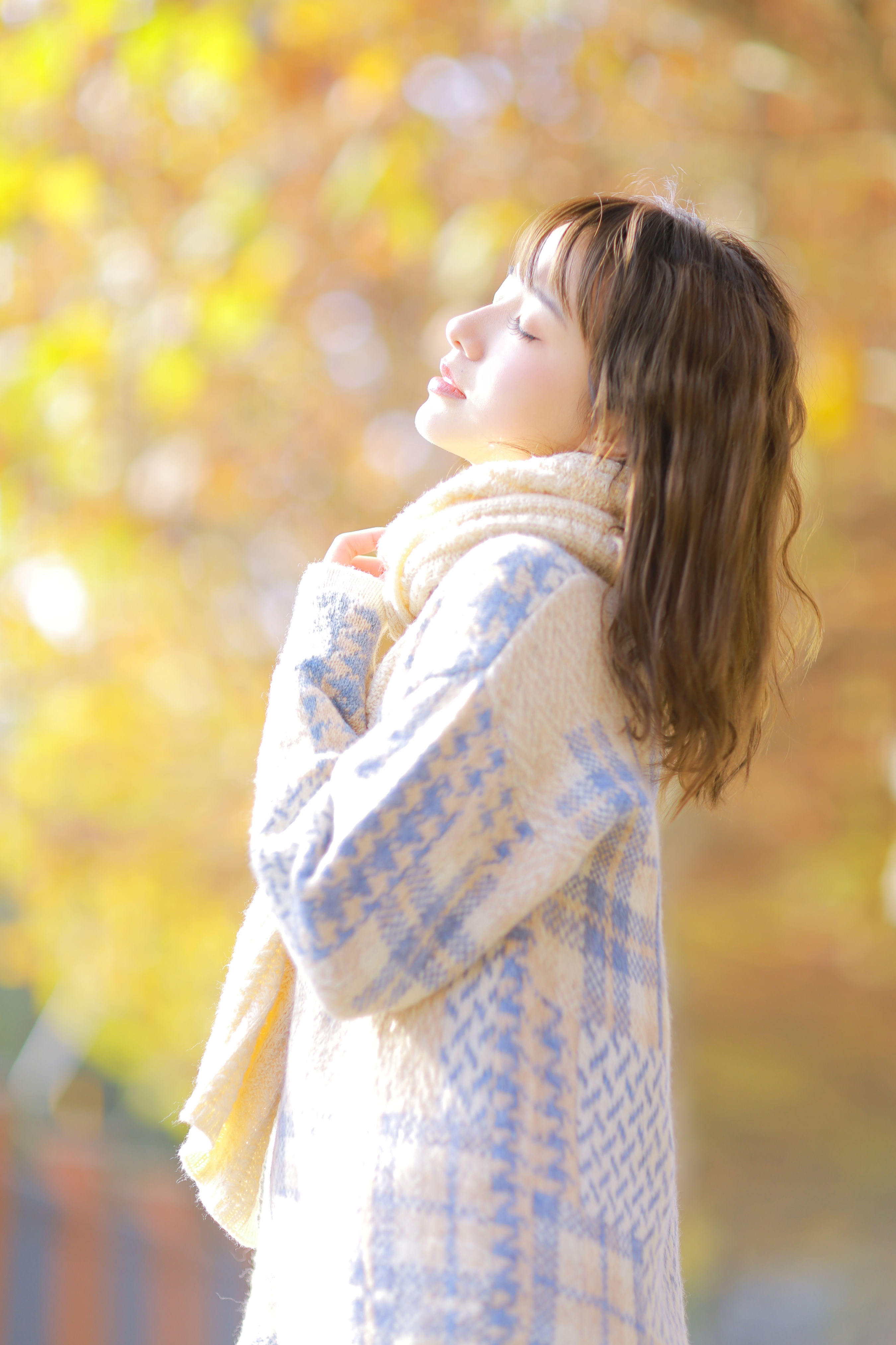 秋日物语 治愈系 小清新 优美 光影 文艺 美好 秋天 少女