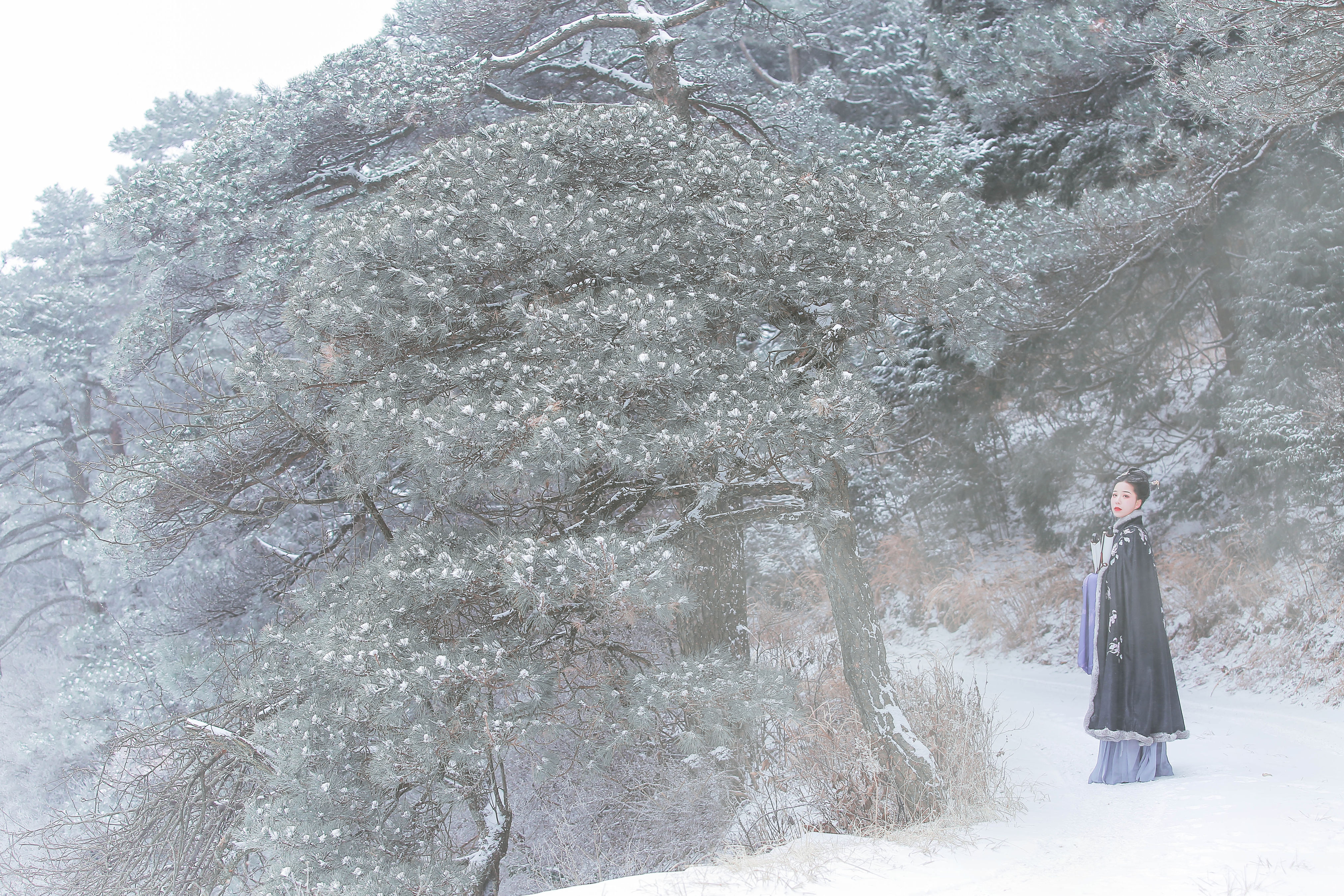 云水隔梦 唯美 意境 艺术 古风 雪景 冬天 山林 思念