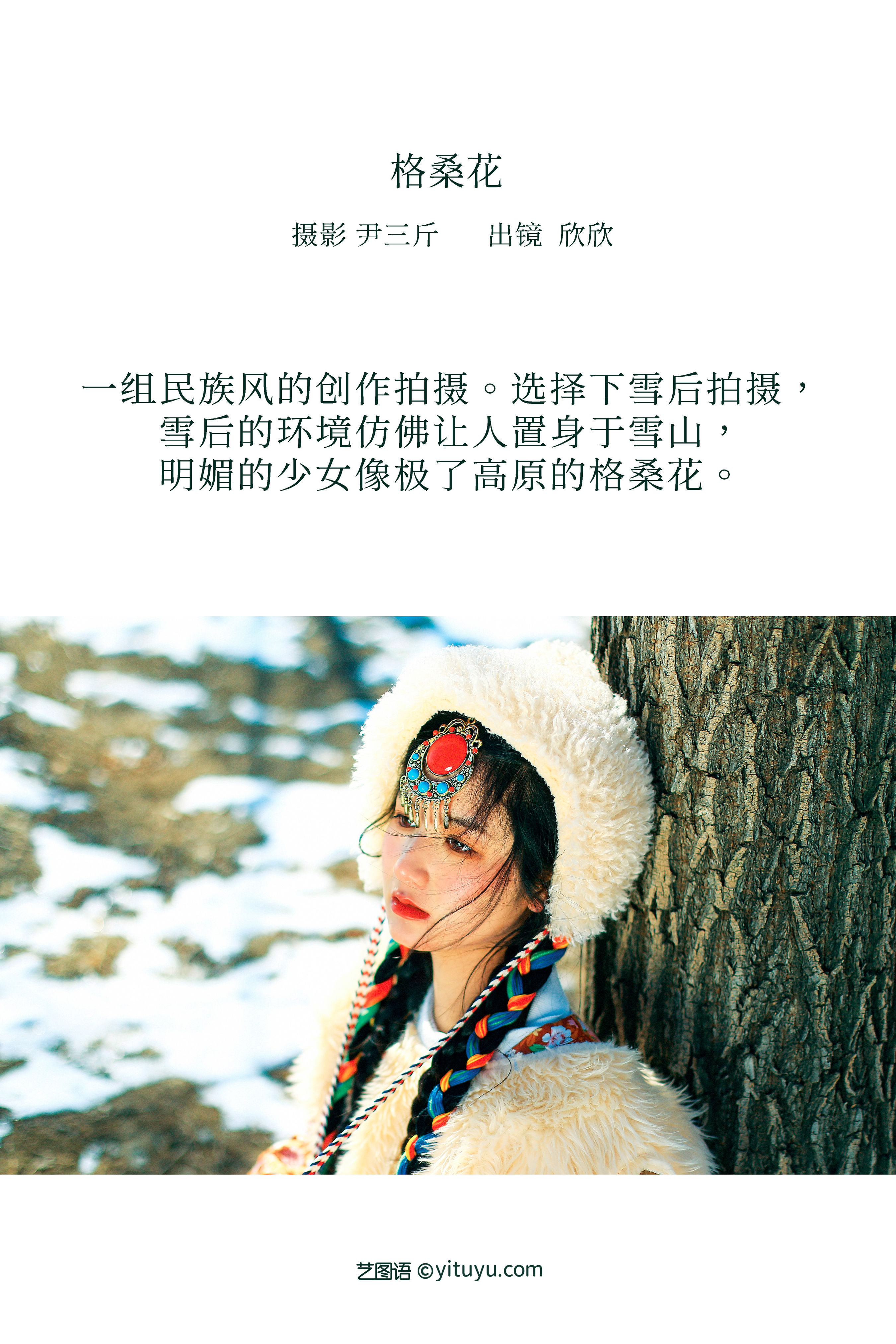 格桑花 精美 雪景 冬天 民族风 西藏美女