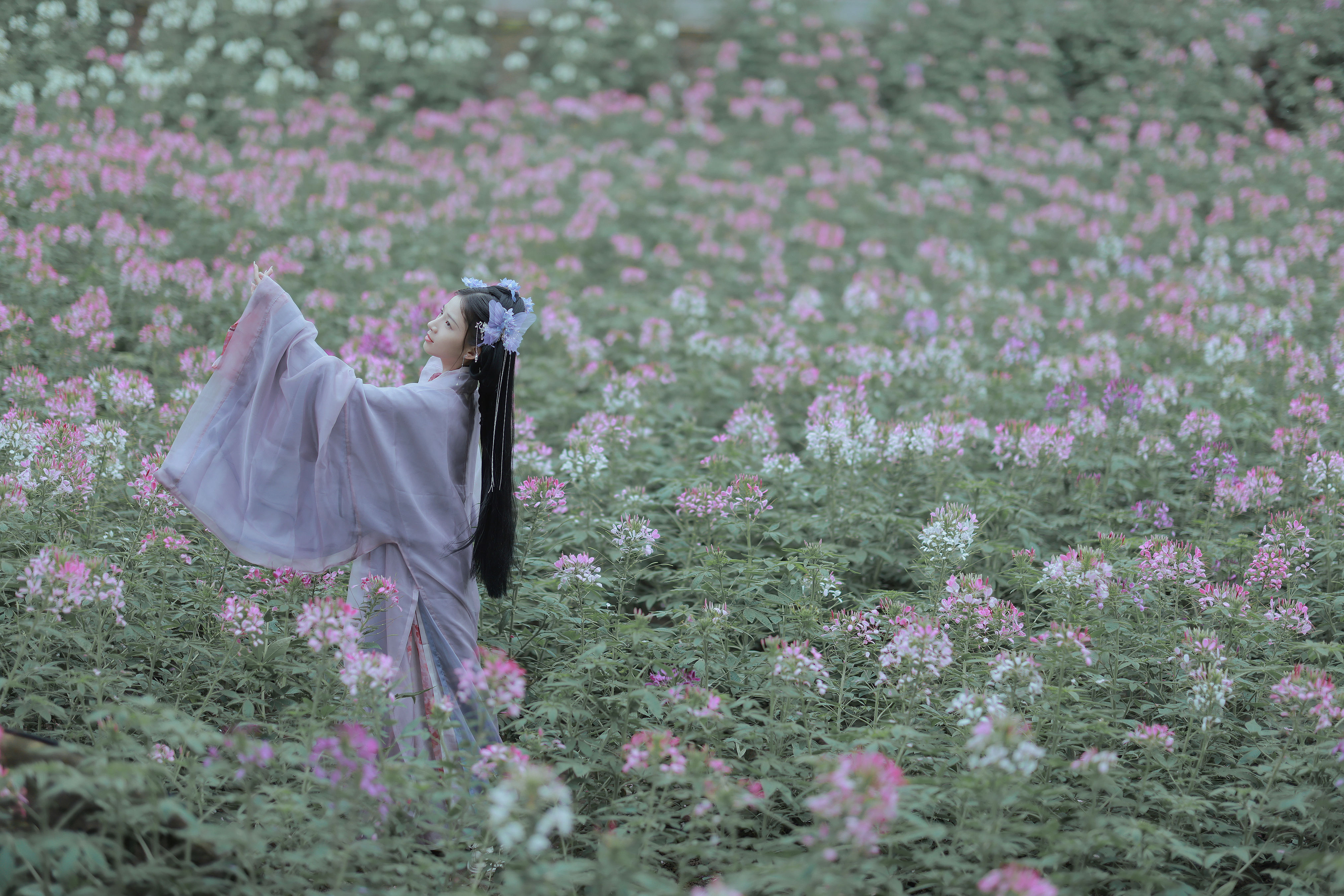 春日 小清新 优美 古风 美人写真 少女 花 春天