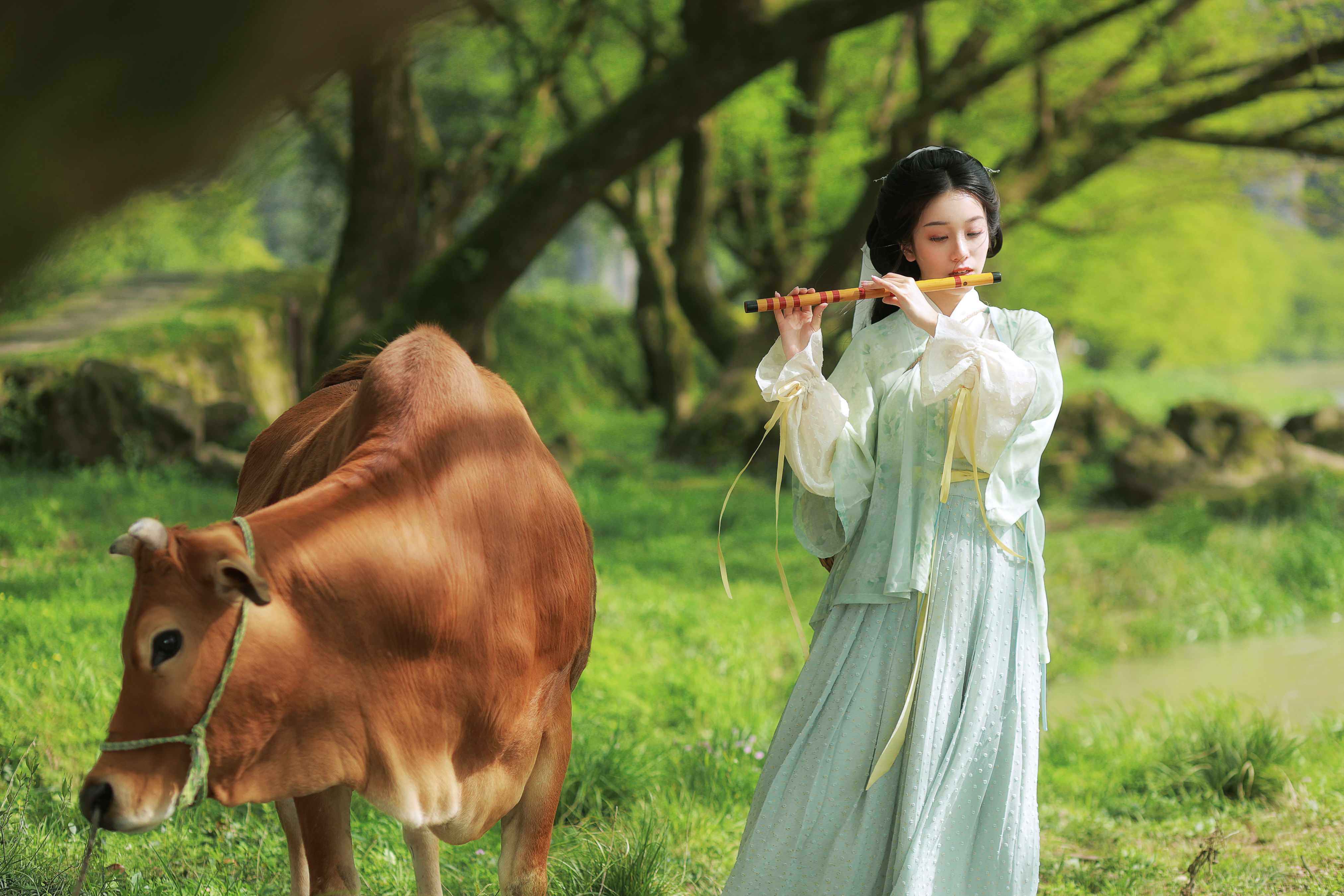 牧牛 古风 小清新 美图 唯美 姑娘 意境 情感