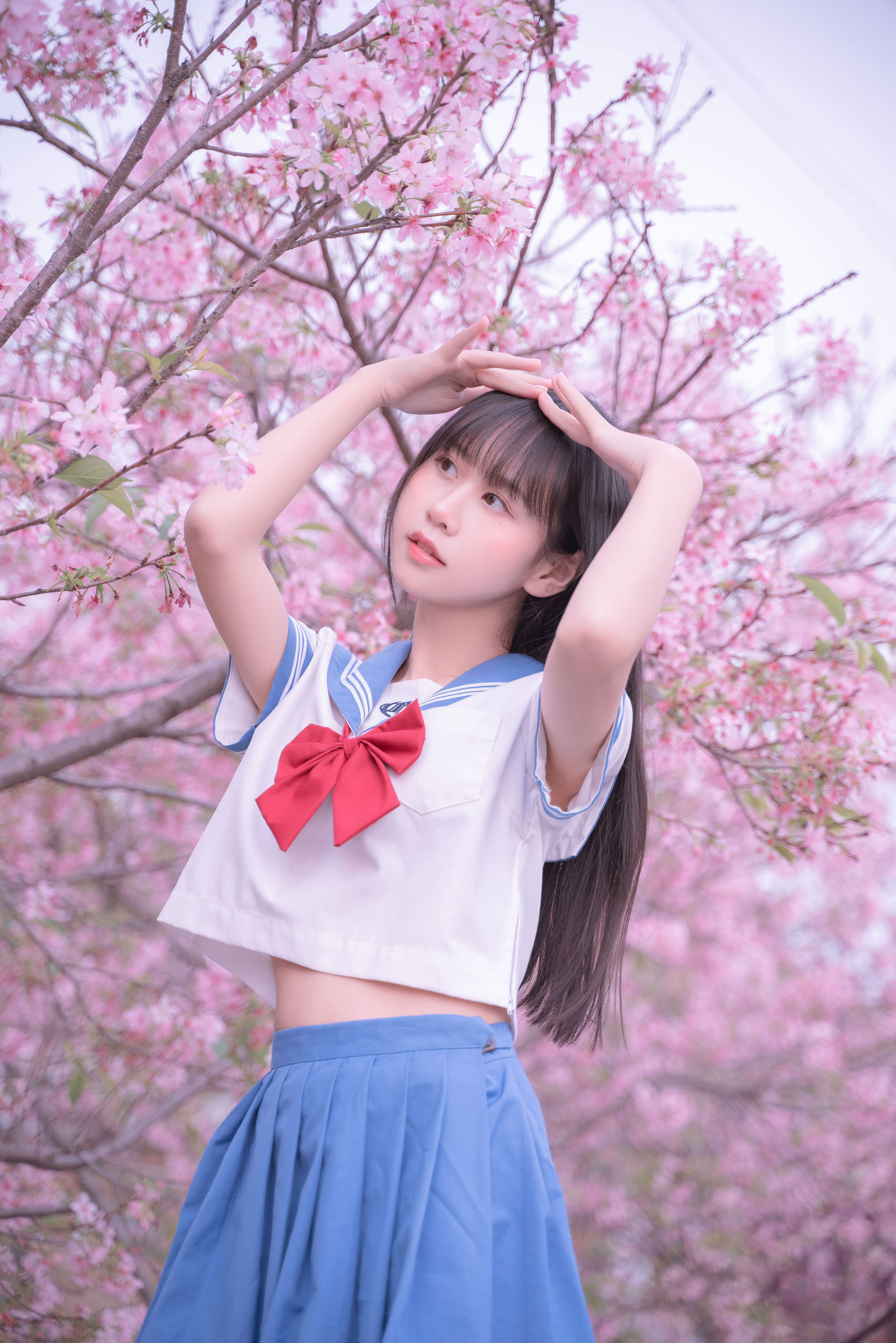 樱花jk JK 美少女 樱花 日系 春天