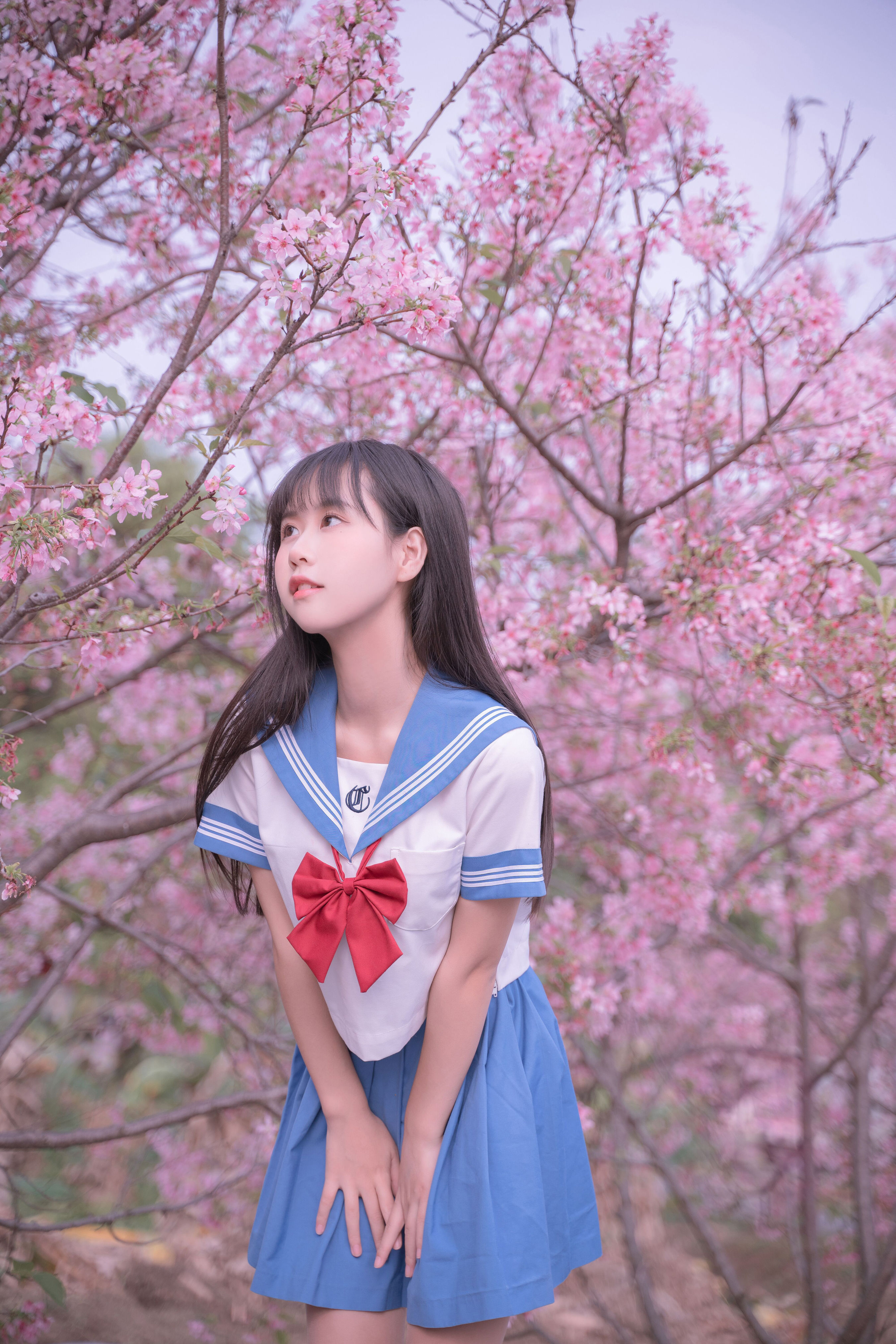 樱花jk JK 美少女 樱花 日系 春天