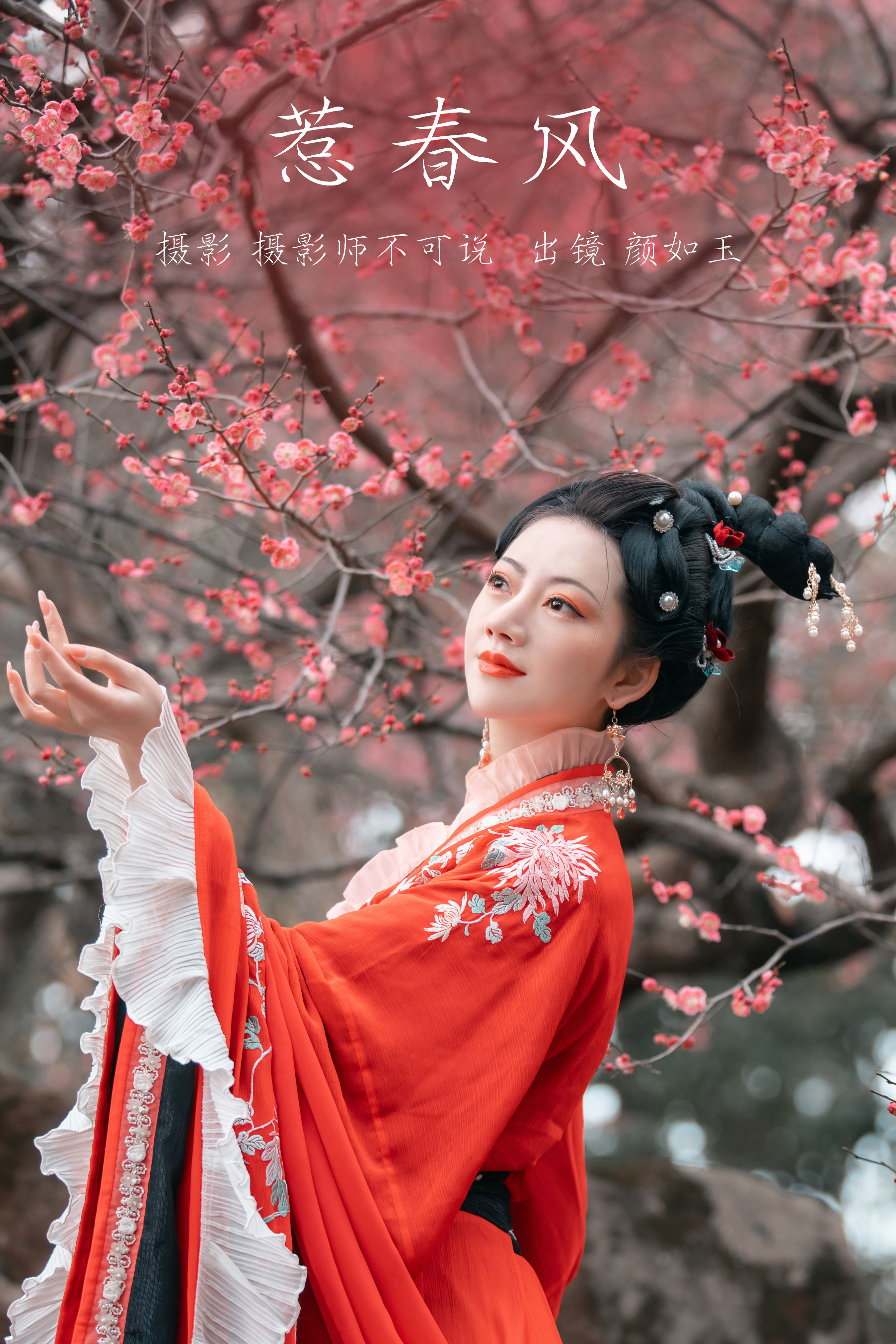 惹春风 古风 春天 梅花 花 美图 摄影