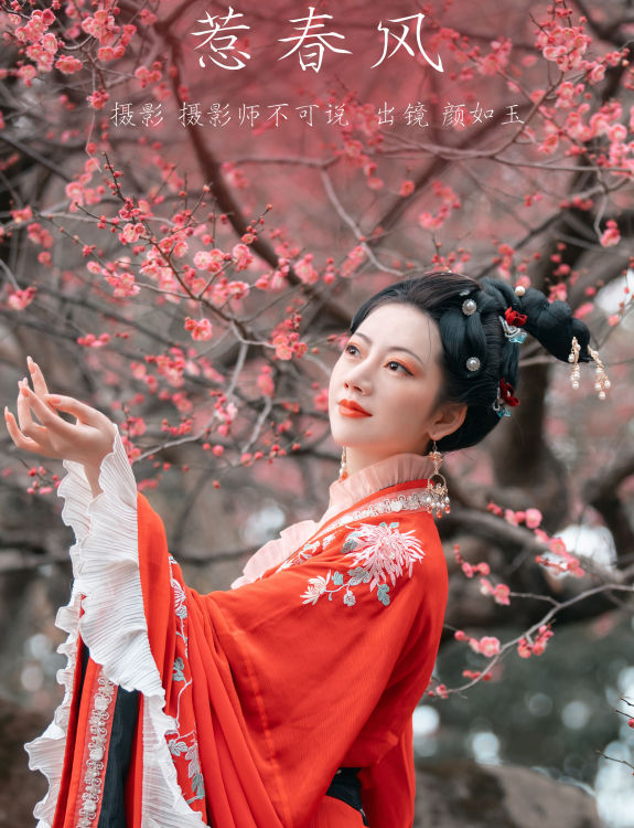 惹春风 古风 春天 梅花 花 美图 摄影