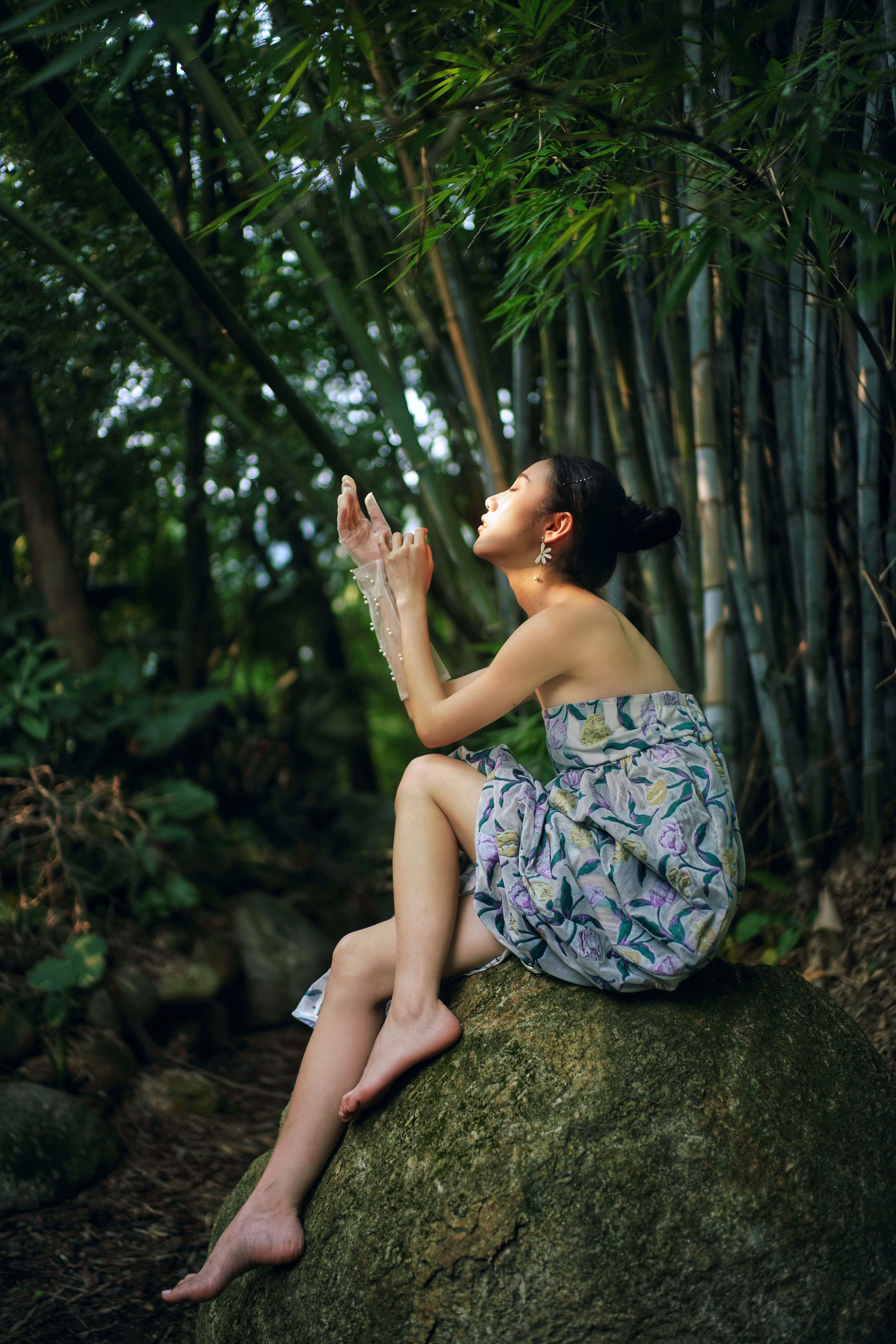 竹篱之夏 美图 唯美 摄影 中国风 创意 竹林 夏天