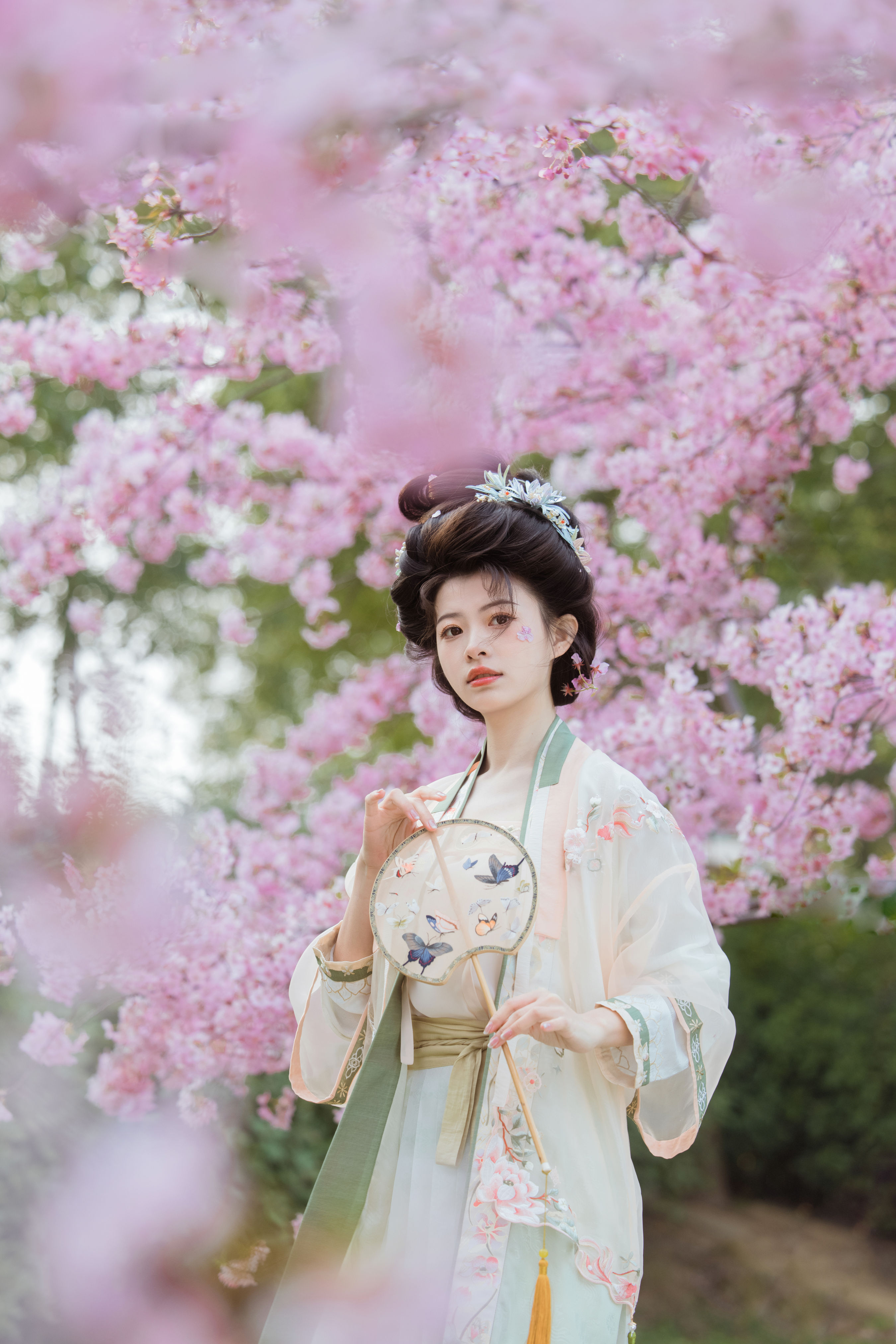 樱落雨 古装 汉服 写真 樱花 春天 美人 花