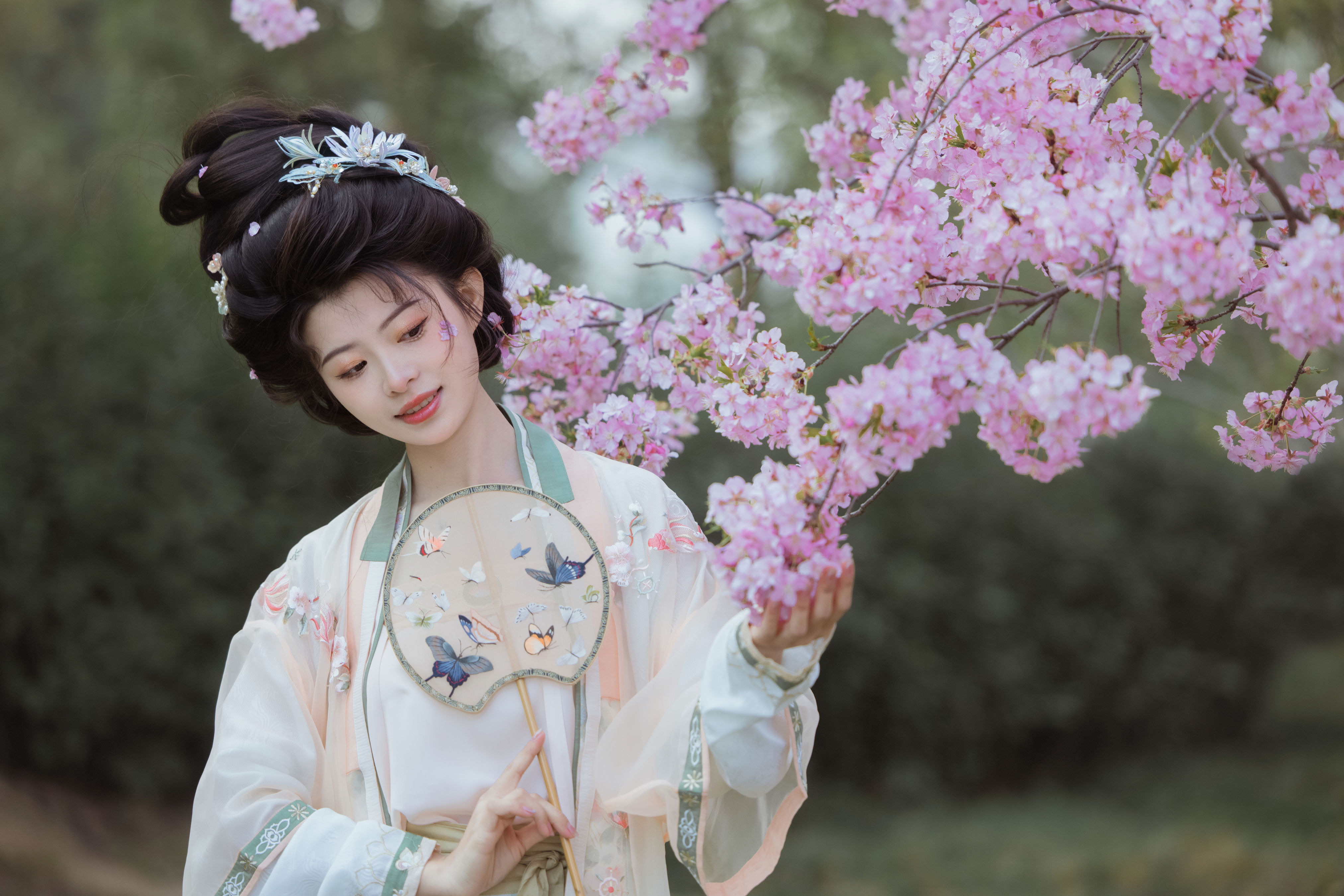 樱落雨 古装 汉服 写真 樱花 春天 美人 花