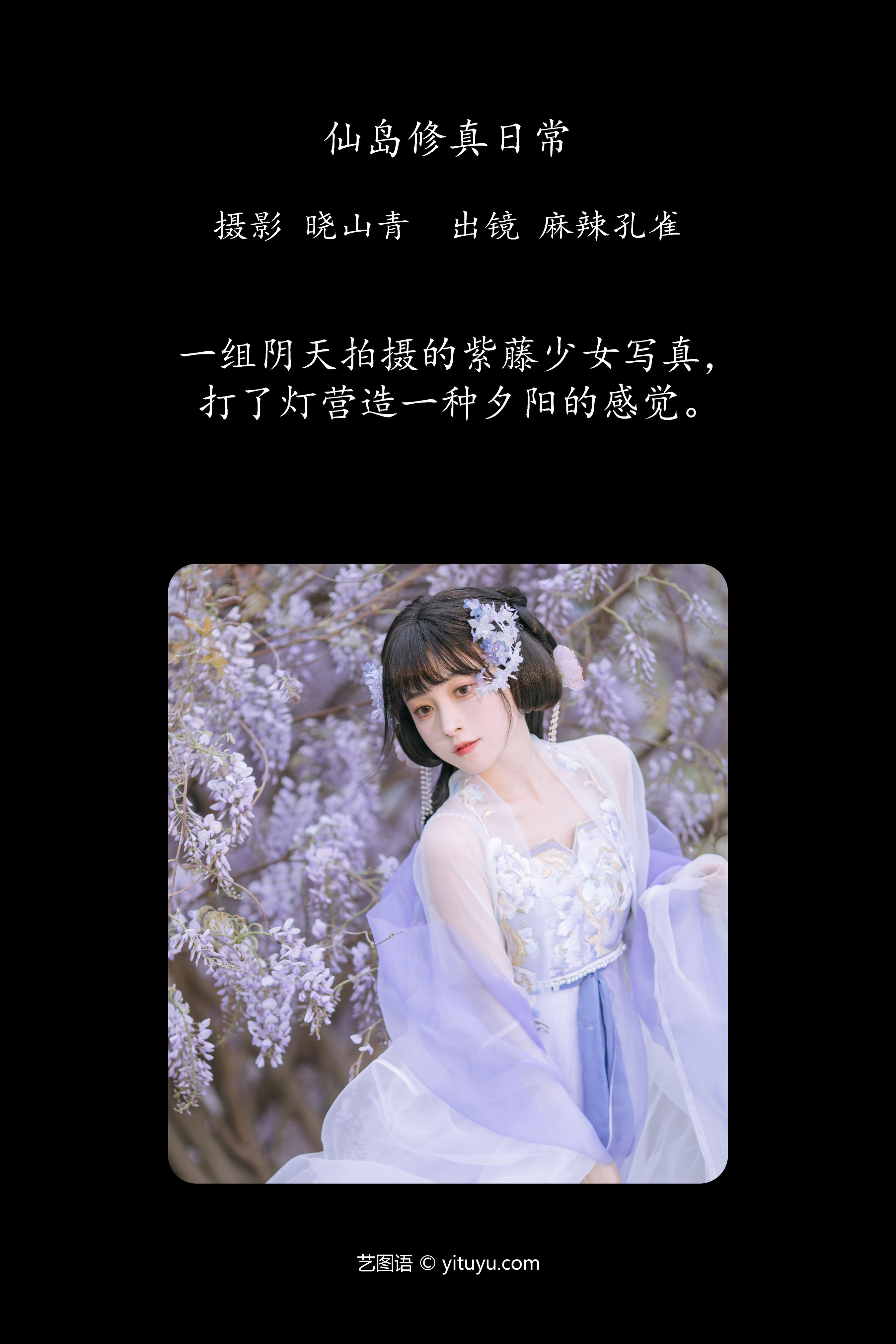 紫藤小花仙 古风 汉服 花 小仙女 仙气