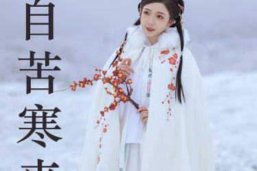 梅花香自苦寒来 冬天 雪景 汉服 花 少女