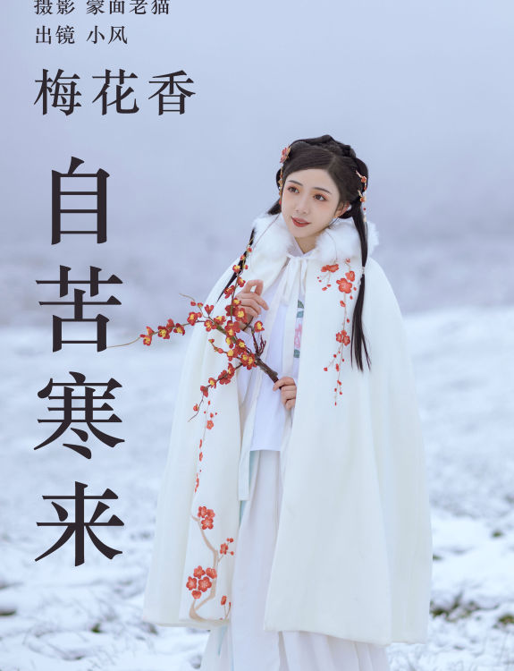 梅花香自苦寒来 冬天 雪景 汉服 花 少女