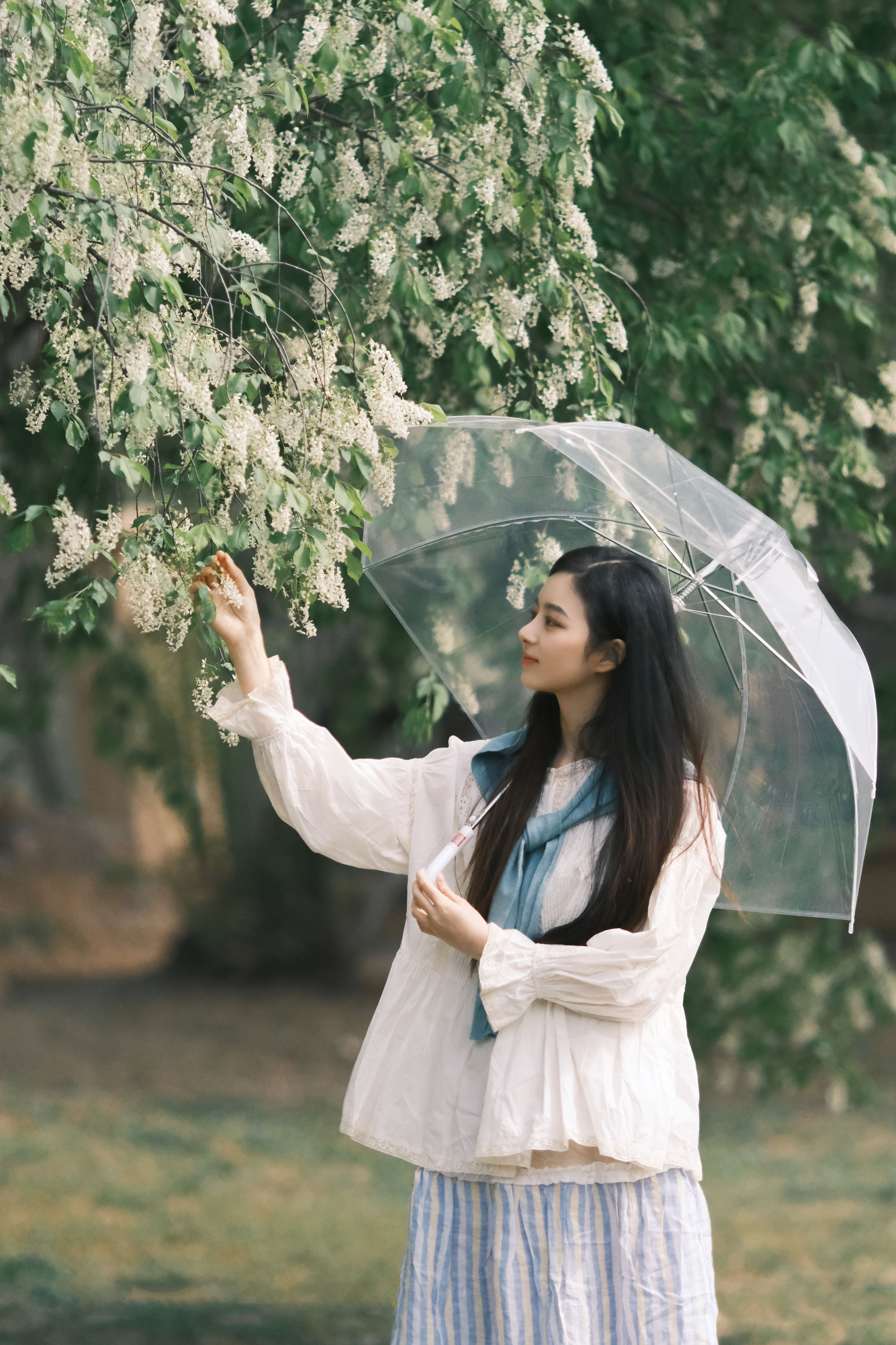 会见面的 清纯 女神 小清新 治愈系 写真 美女